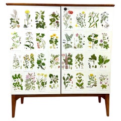 Cabinet suédois des années 1950 avec illustrations de Nordens Flora