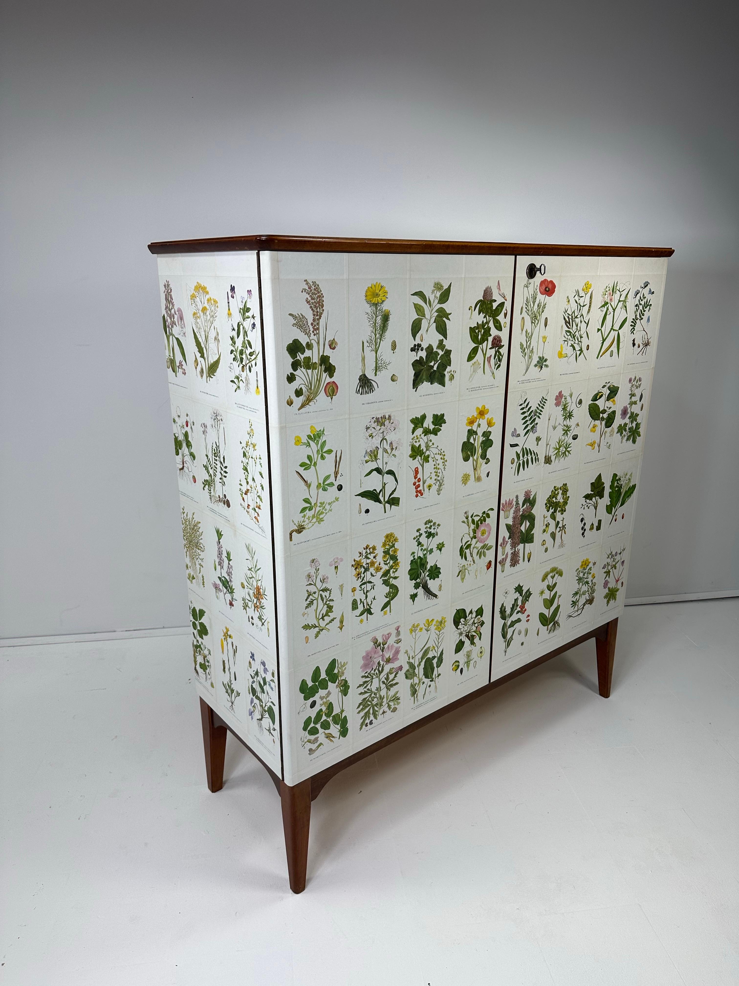 Armario sueco de los años 50 con ilustraciones de Nordens Flora Escandinavo moderno en venta