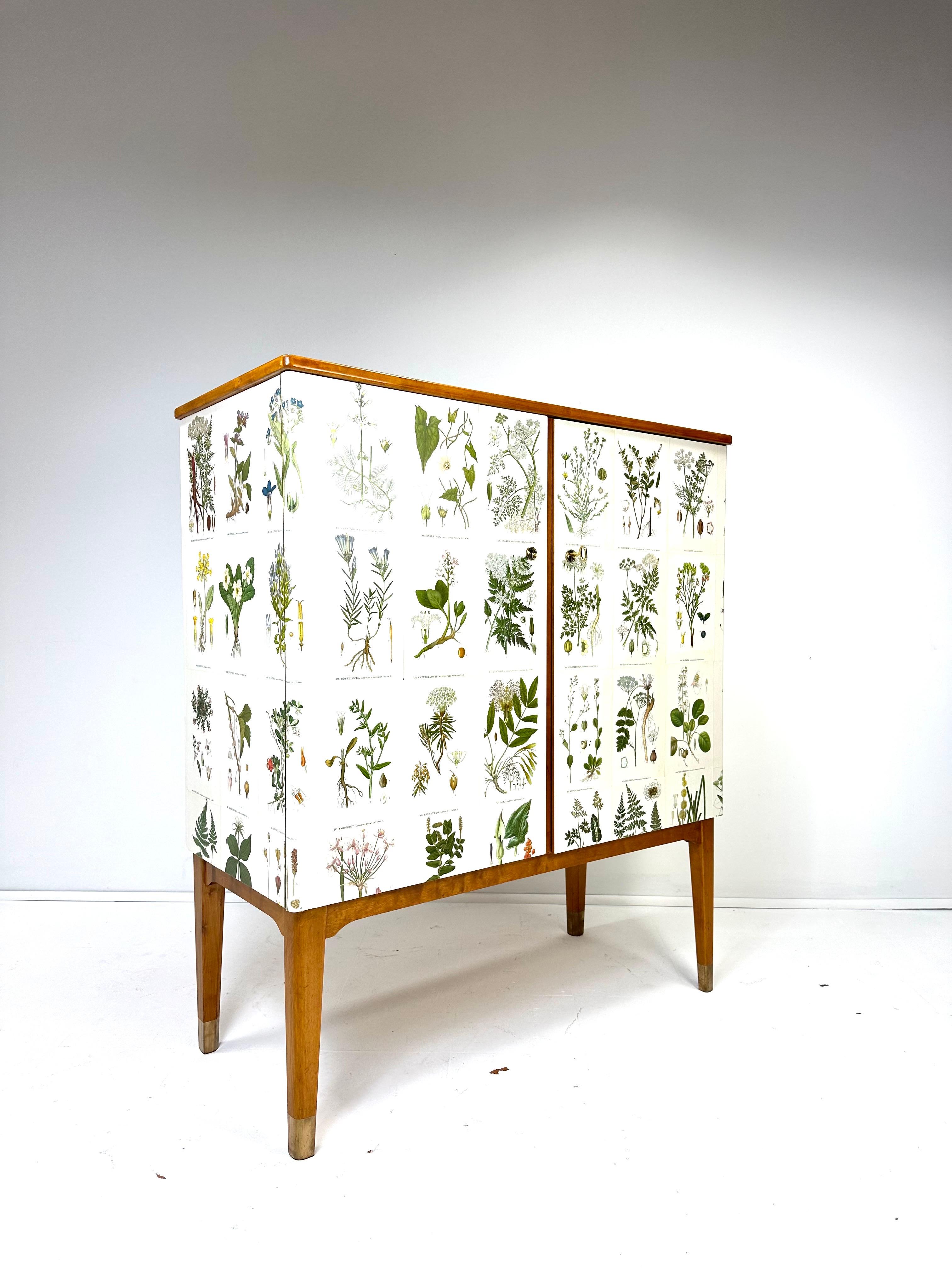 1950’s Swedish Cabinet With Nordens Flora Illustrations In Good Condition In Turners Falls, MA