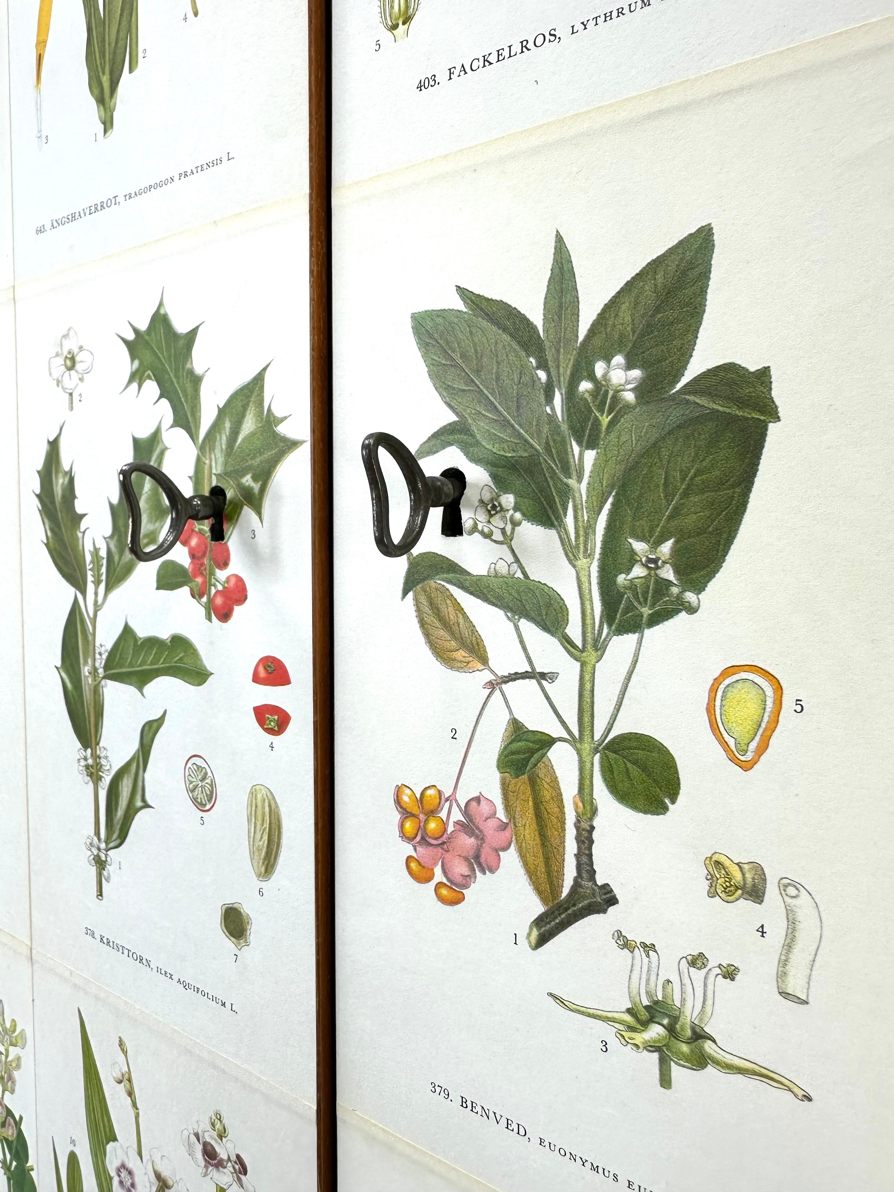 Appliqué 1950’s Swedish Cabinet With Nordens Flora Illustrations