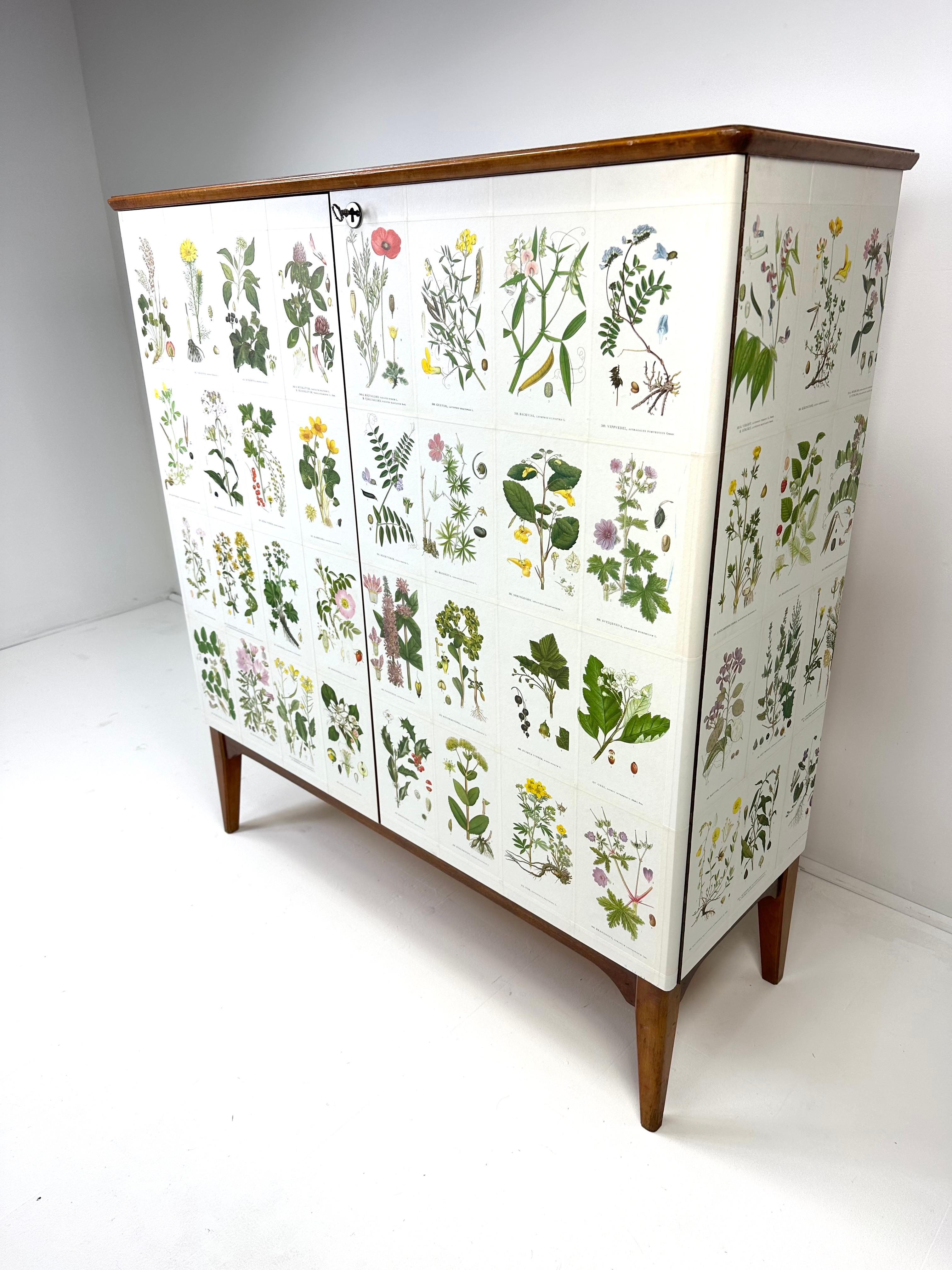 Armario sueco de los años 50 con ilustraciones de Nordens Flora Sueco en venta