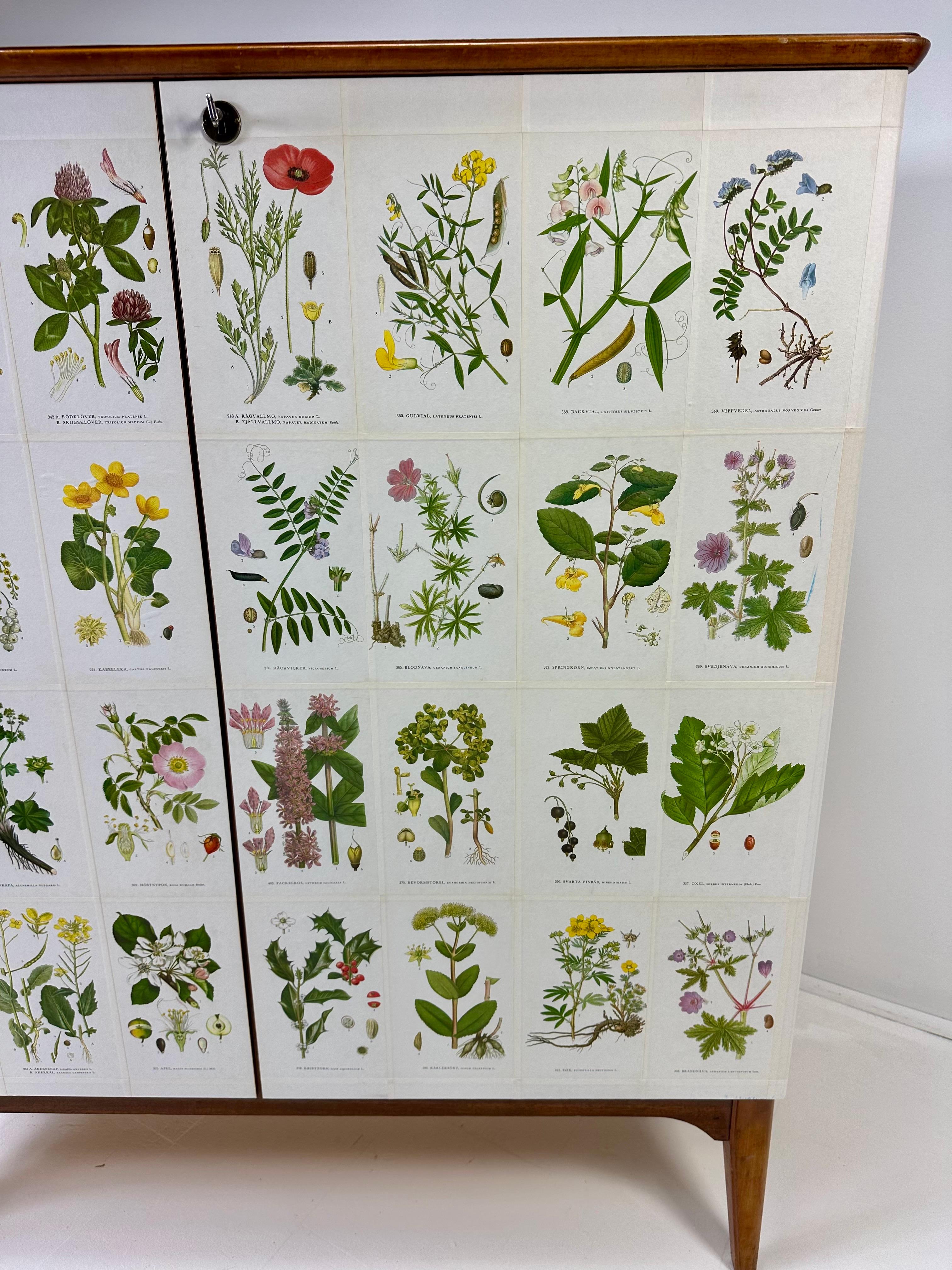 Armario sueco de los años 50 con ilustraciones de Nordens Flora en Bueno estado para la venta en Turners Falls, MA