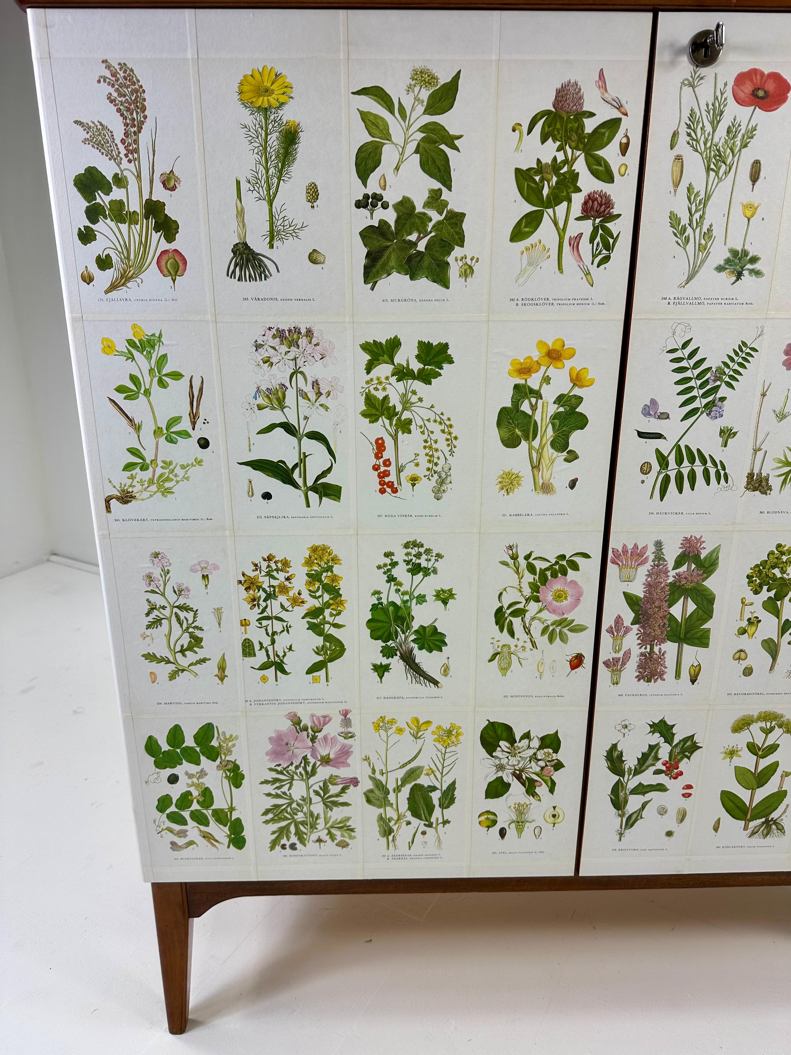 Armario sueco de los años 50 con ilustraciones de Nordens Flora siglo XX en venta