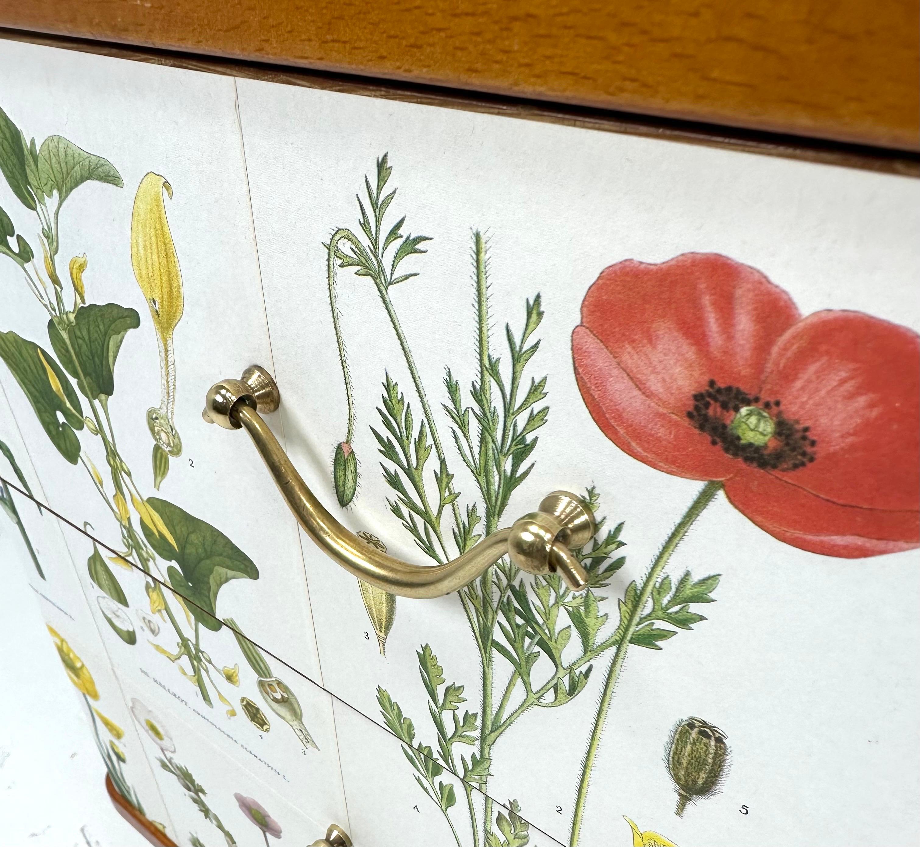Mahogany 1950’s Swedish Cabinet With Nordens Flora Illustrations