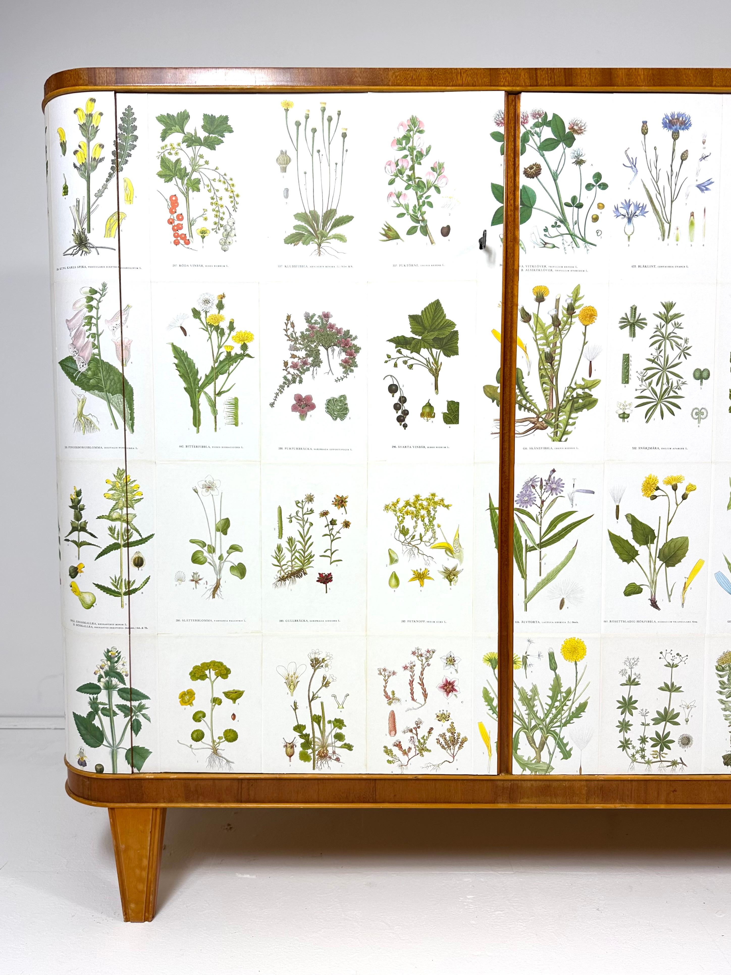 XX secolo Mobile svedese degli anni '50 con illustrazioni di Nordens Flora in vendita