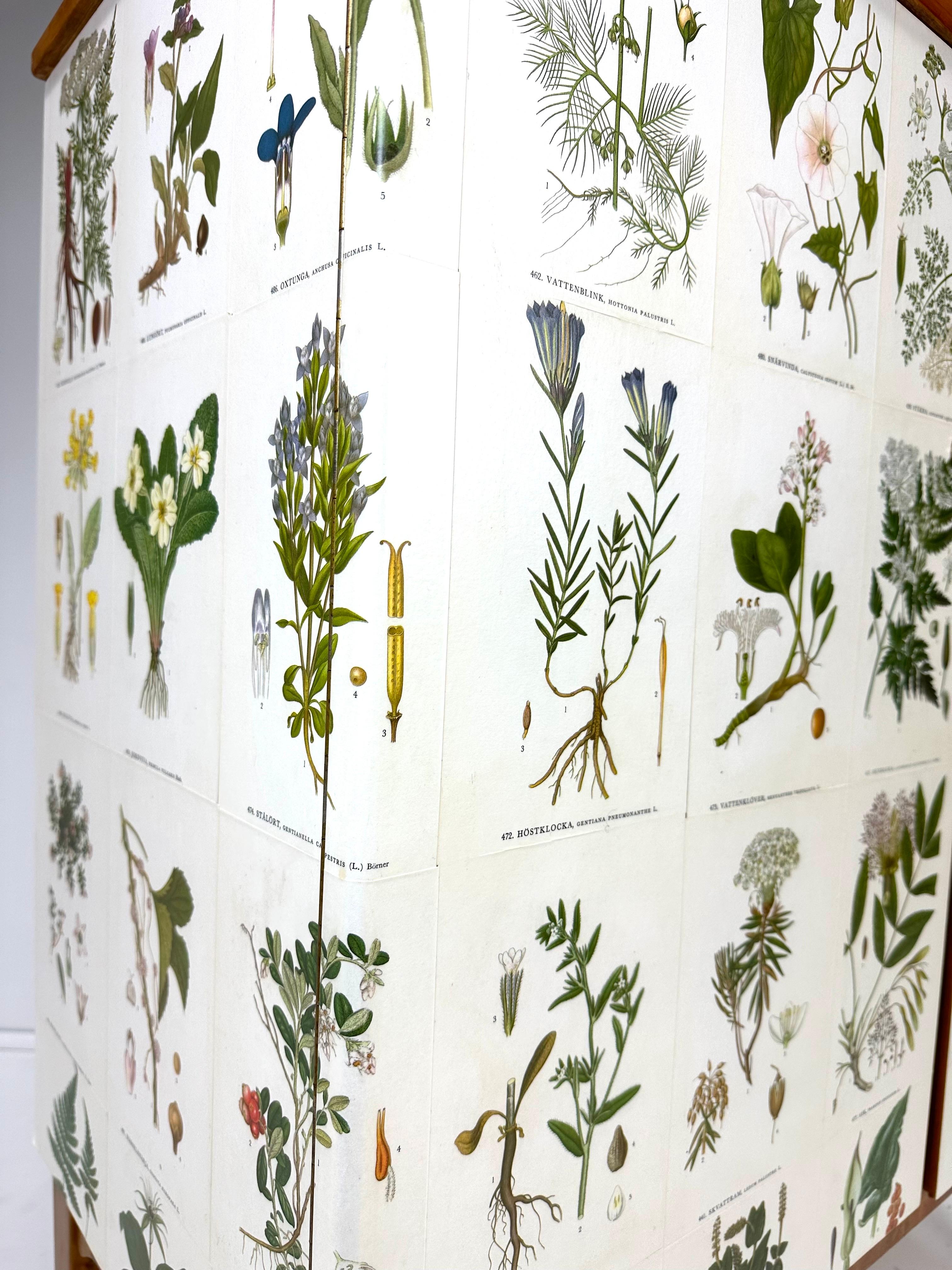 1950’s Swedish Cabinet With Nordens Flora Illustrations 2