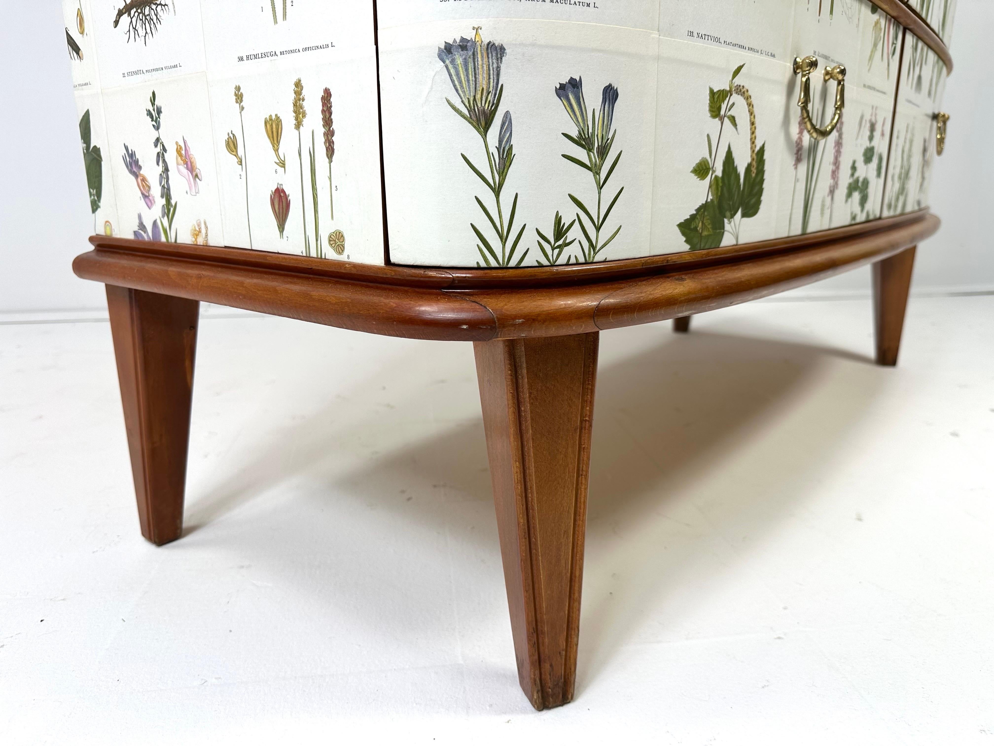 1950’s Swedish Cabinet With Nordens Flora Illustrations For Sale 2