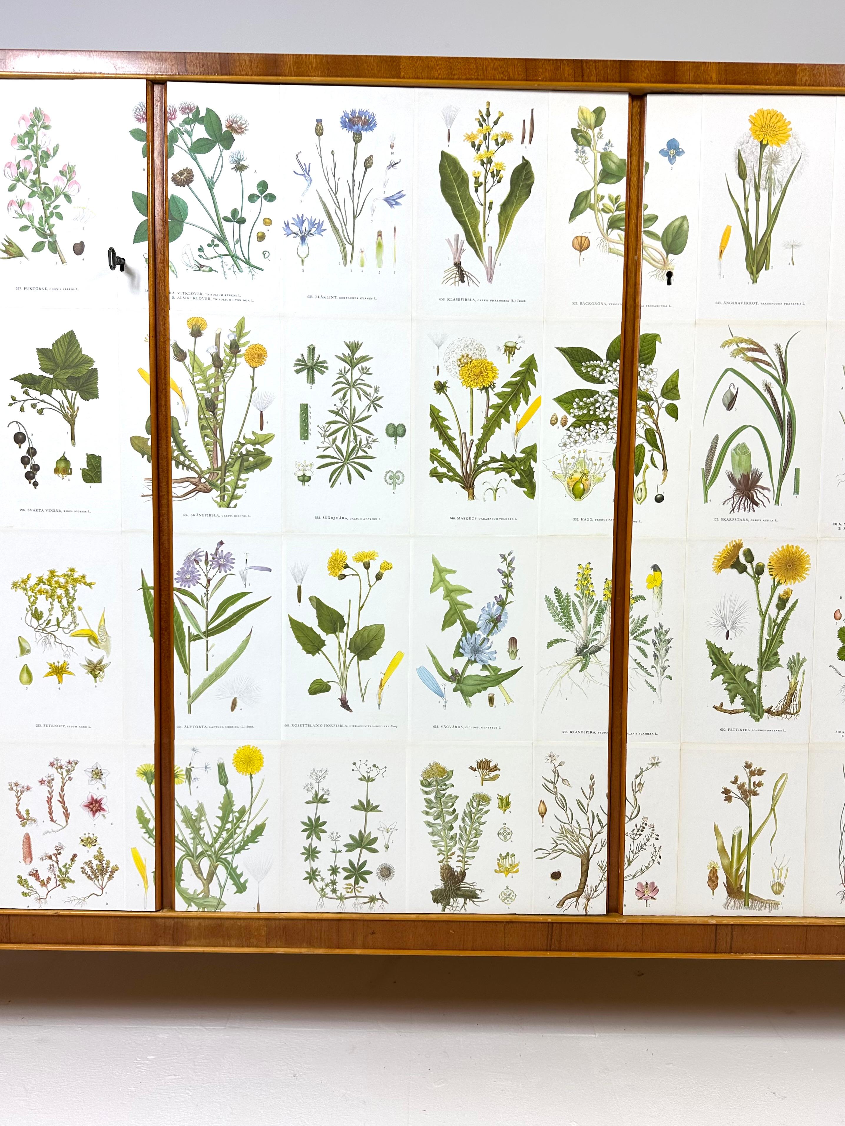 Mogano Mobile svedese degli anni '50 con illustrazioni di Nordens Flora in vendita