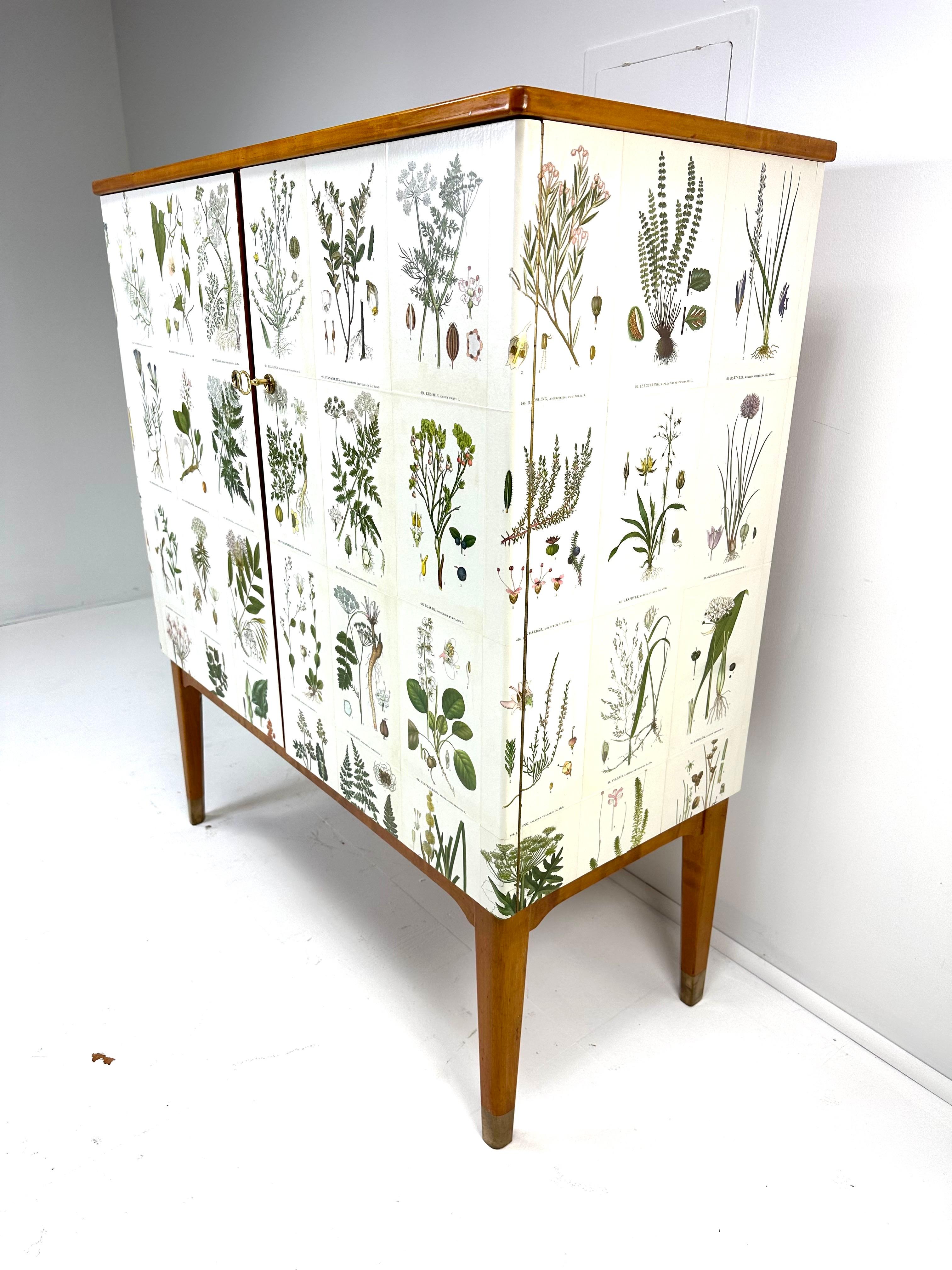1950’s Swedish Cabinet With Nordens Flora Illustrations 3