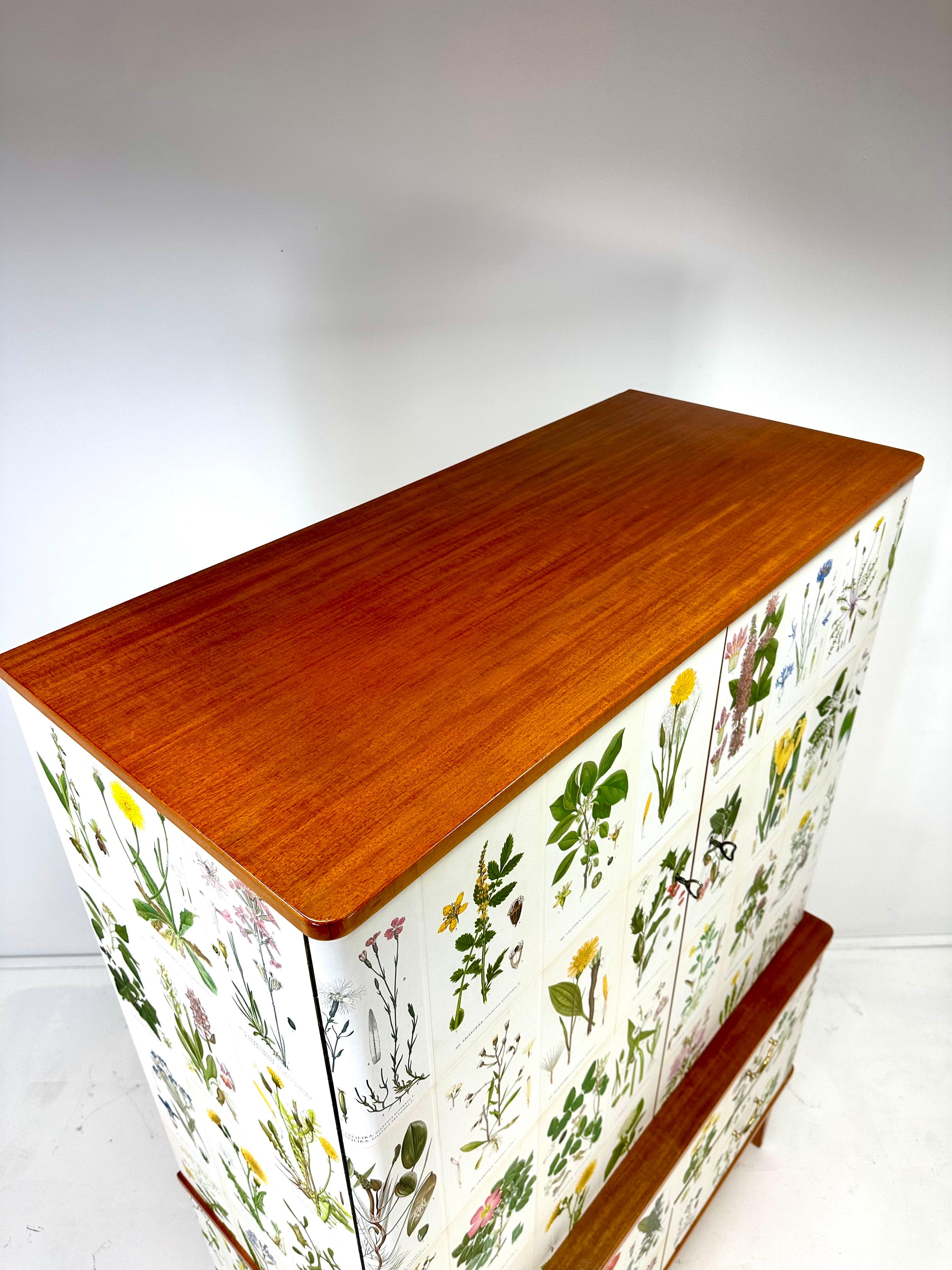 1950’s Swedish Cabinet With Nordens Flora Illustrations 2