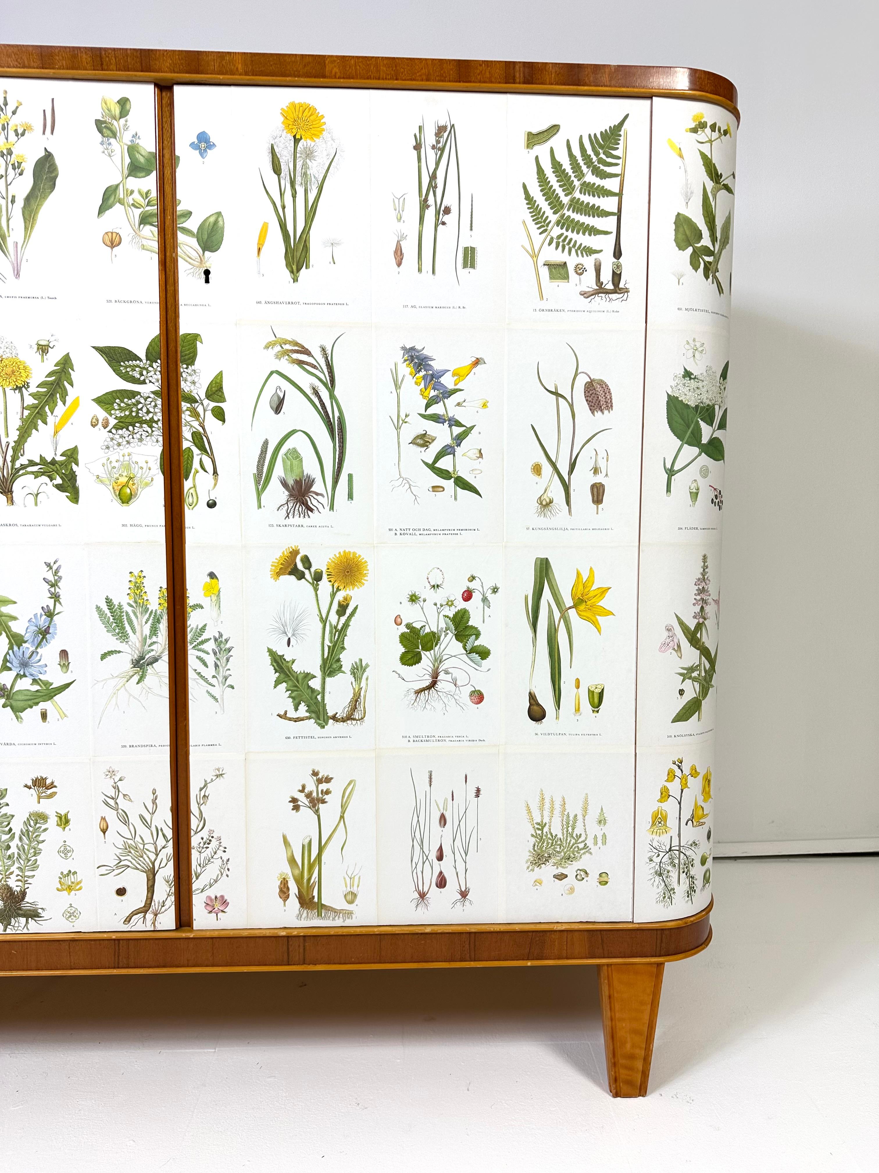 Mobile svedese degli anni '50 con illustrazioni di Nordens Flora in vendita 1