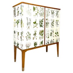 1950’s Swedish Cabinet With Nordens Flora Illustrations