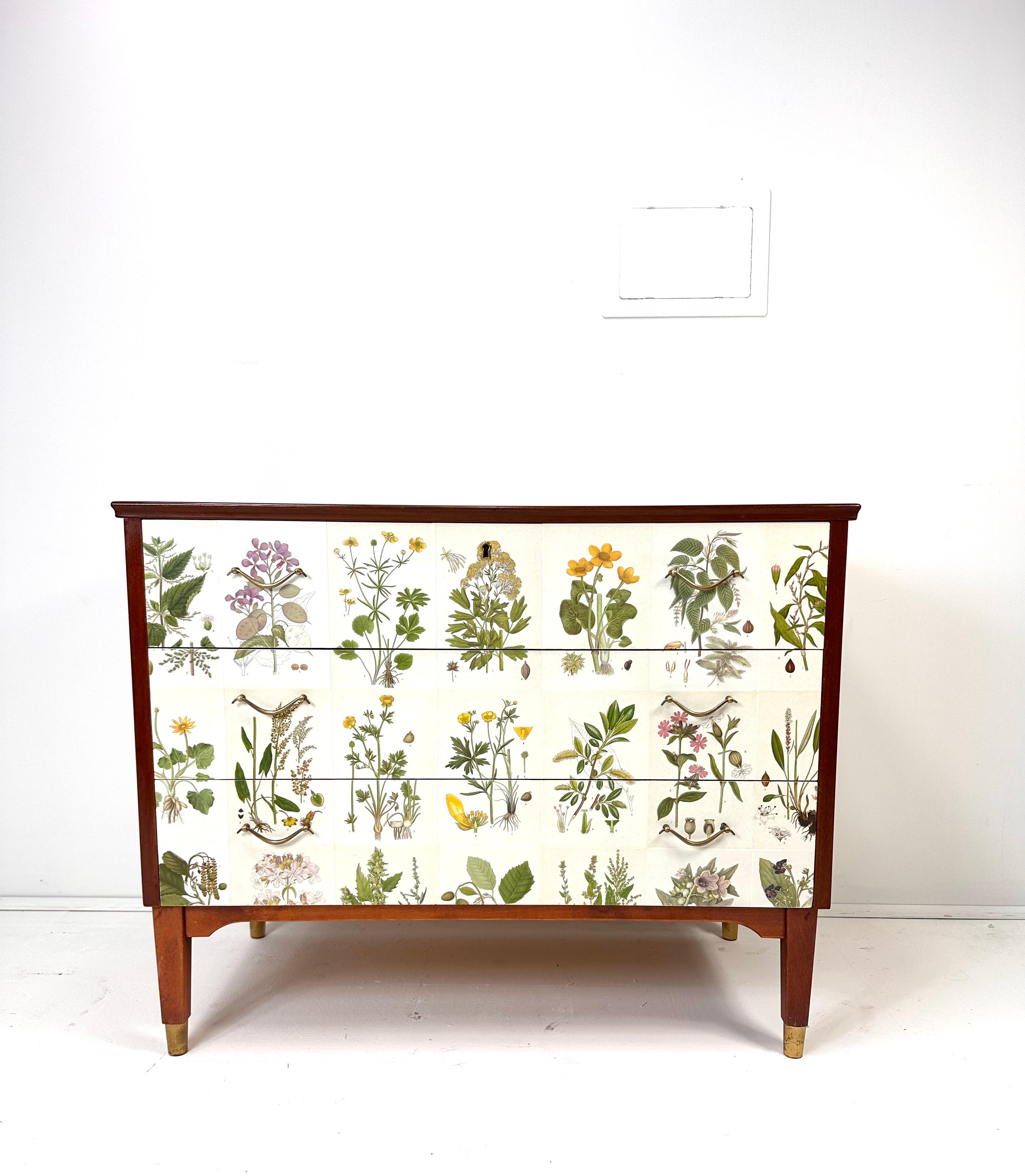 Scandinave moderne Commode suédoise des années 1950 avec illustrations de Nordens Flora en vente