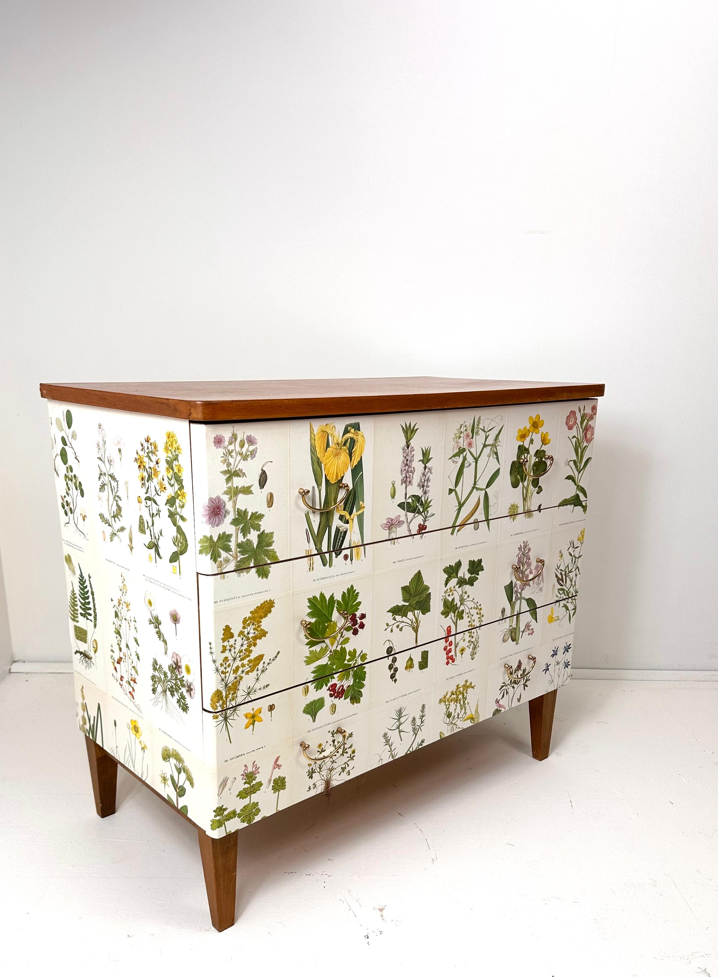 Suédois Commode suédoise des années 1950 avec illustrations de Nordens Flora en vente