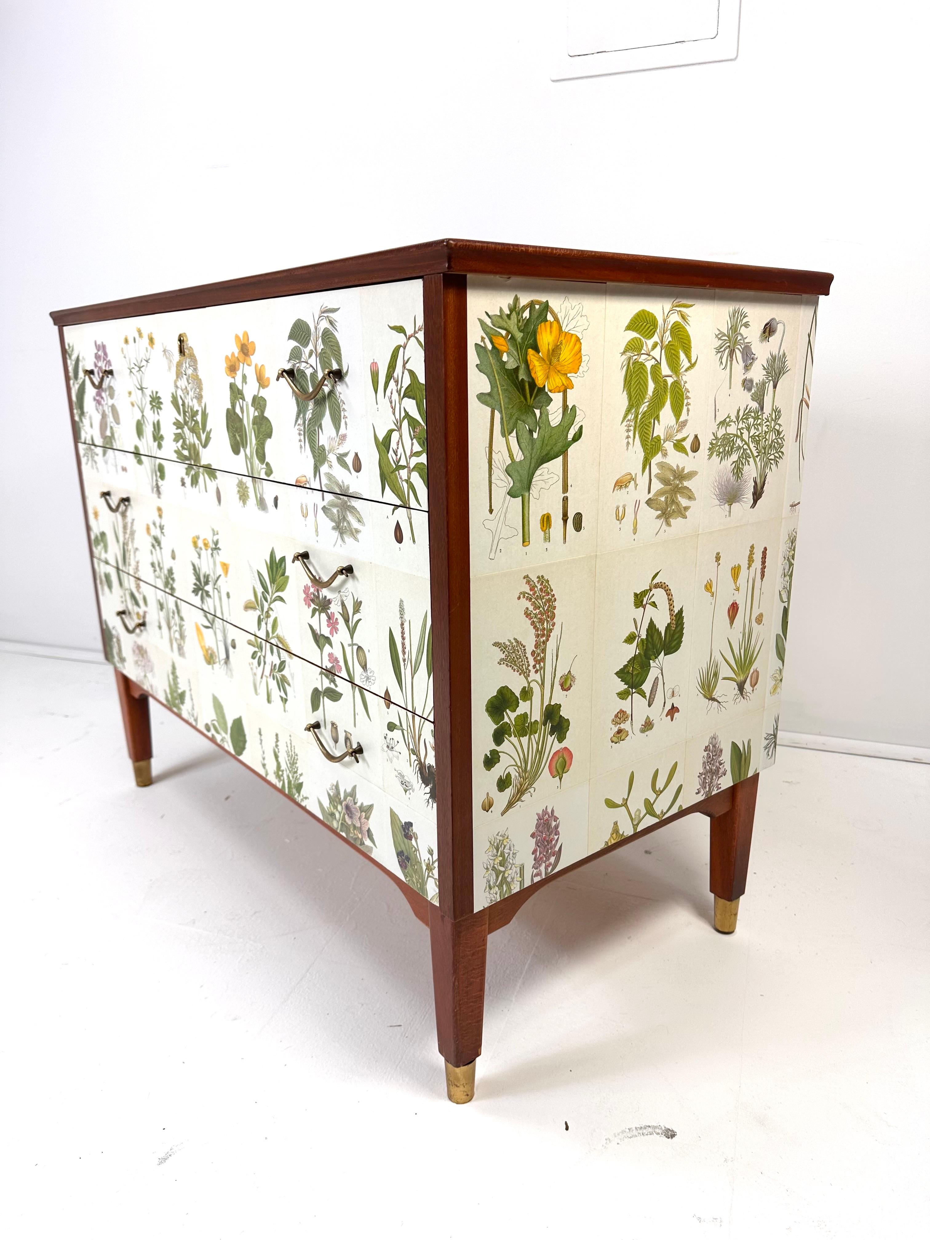 Suédois Commode suédoise des années 1950 avec illustrations de Nordens Flora en vente