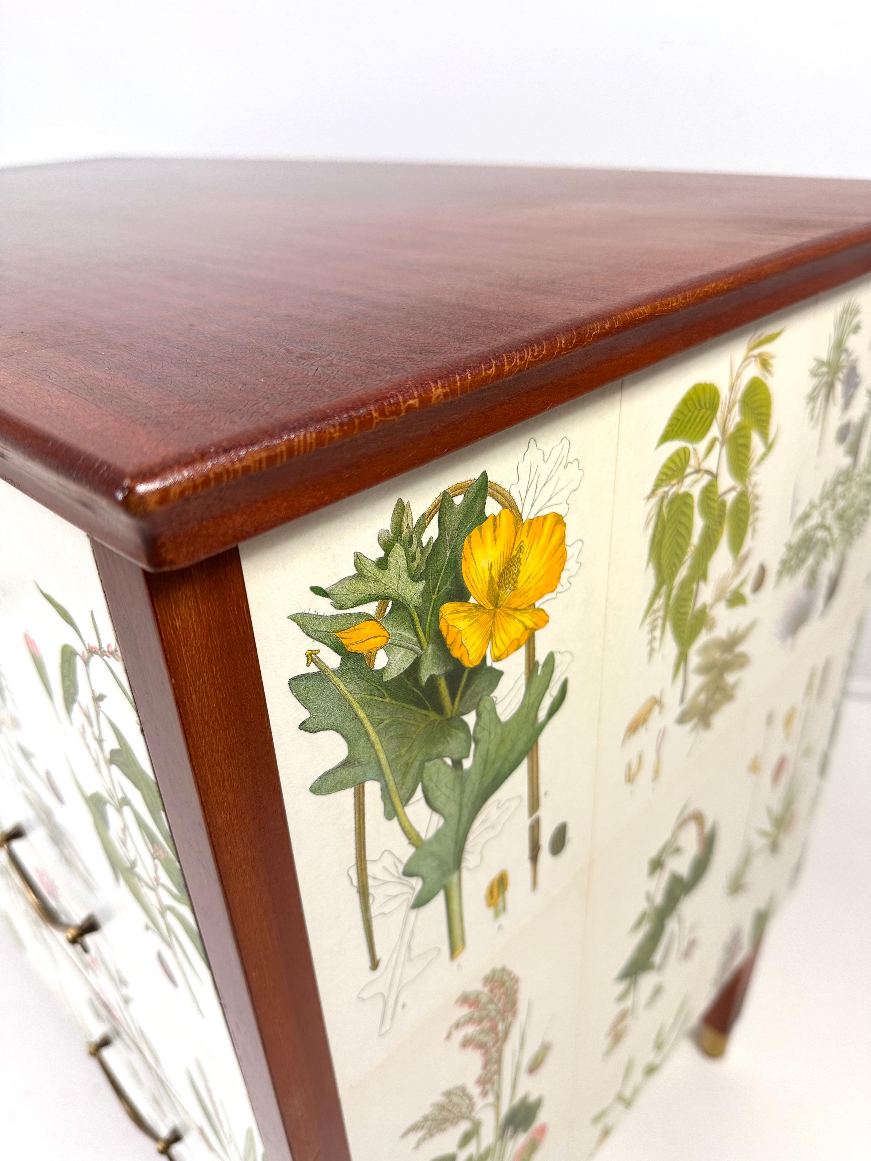 20ième siècle Commode suédoise des années 1950 avec illustrations de Nordens Flora en vente