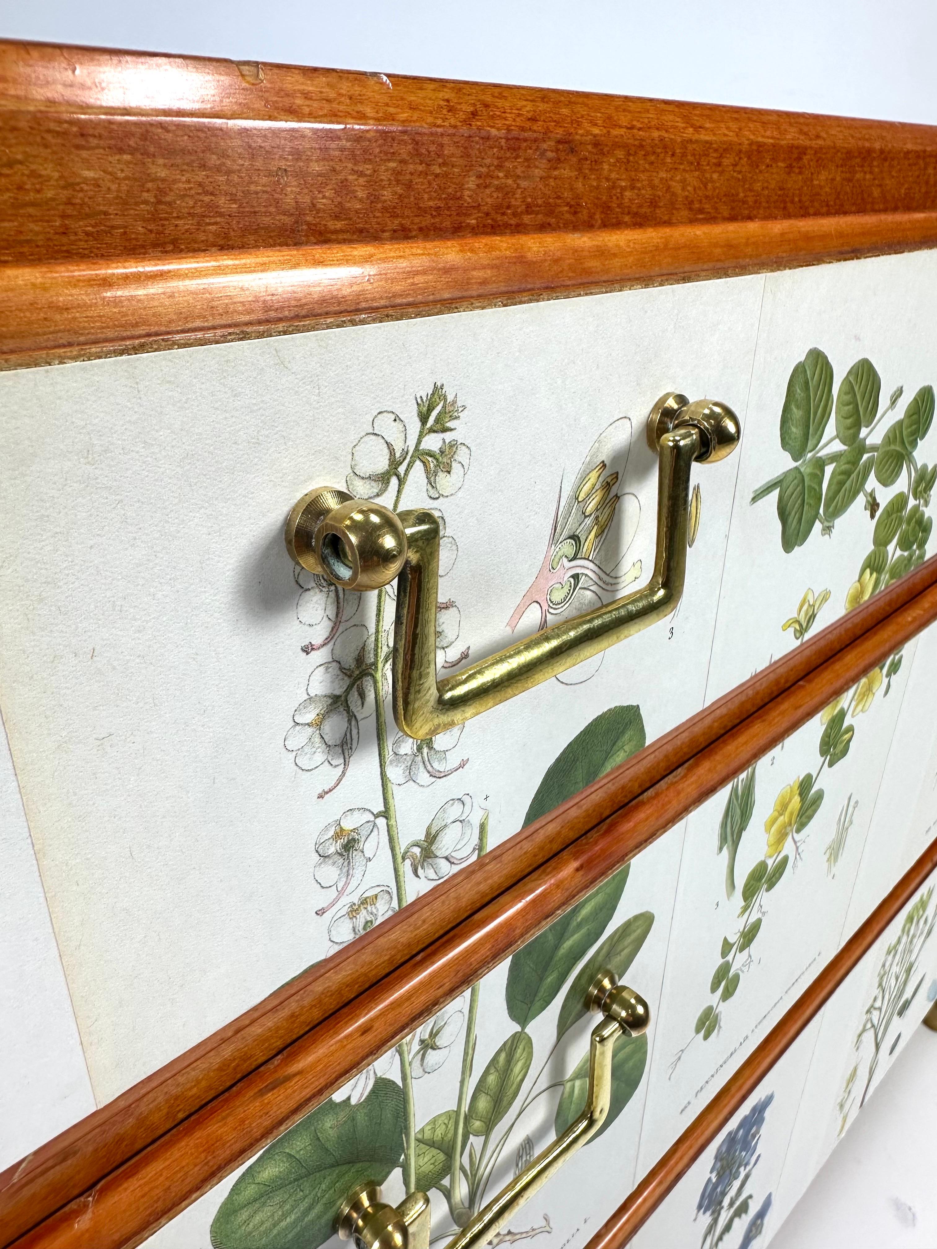 Beech 1950’s Swedish Dresser With Nordens Flora Illustrations