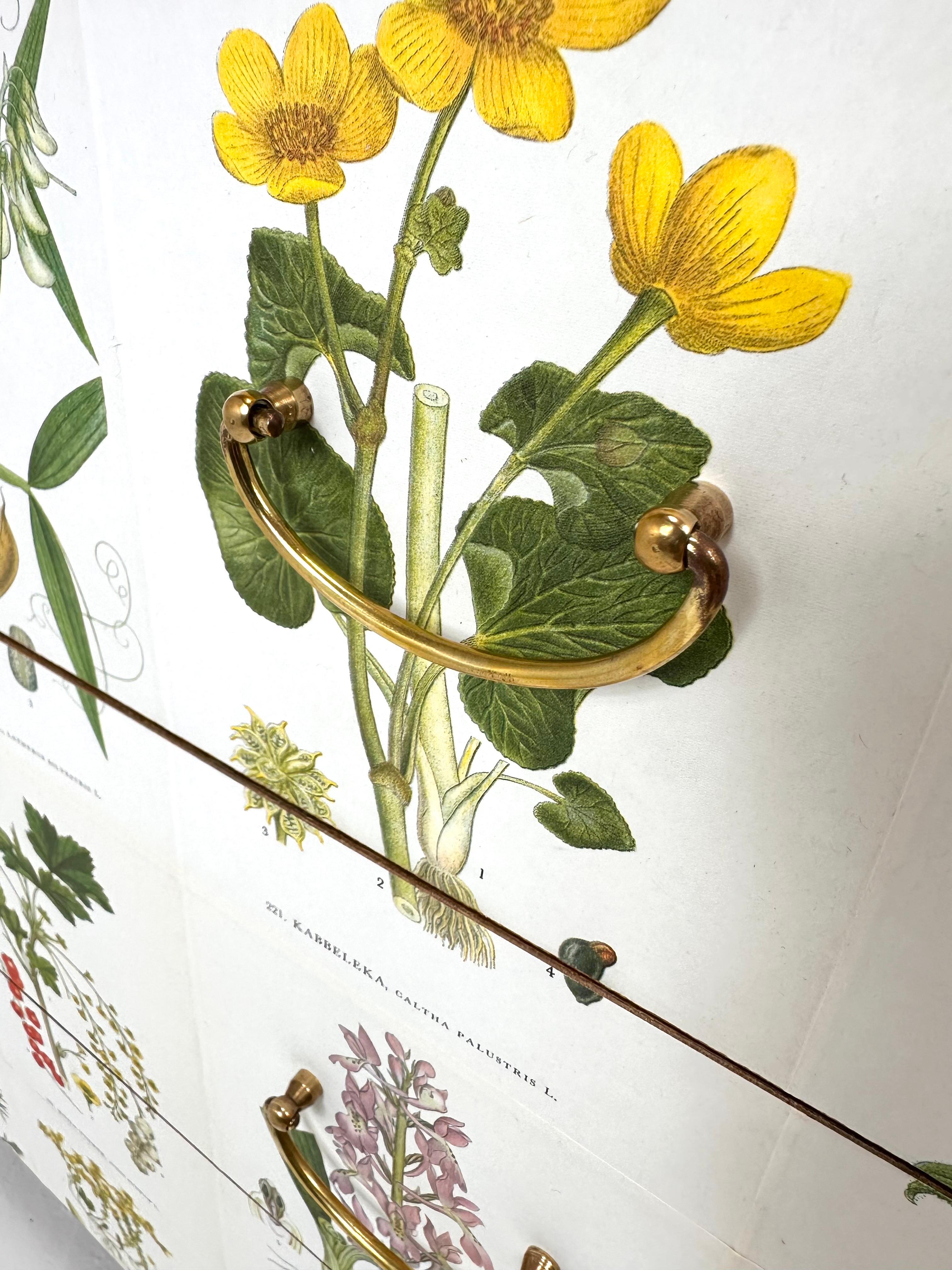Commode suédoise des années 1950 avec illustrations de Nordens Flora en vente 1