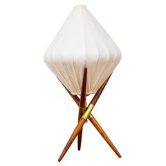 trema furniture 1950s Swedish Modern Table Lamp by Trema, 1950s, Sweden