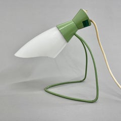 1950's Table Lamp Model 1621, Designed by Josef Hurka for Napako