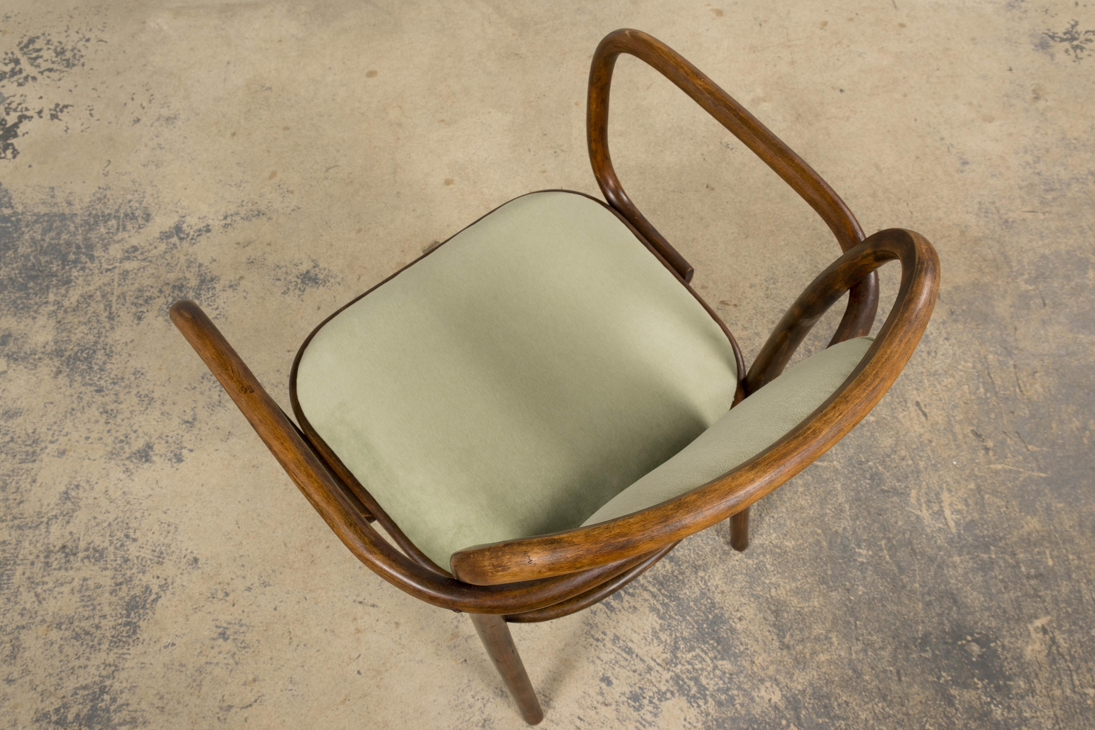 1950er Thonet Bugholzsessel in Weidengrünem Samt - 6er Set im Angebot 6