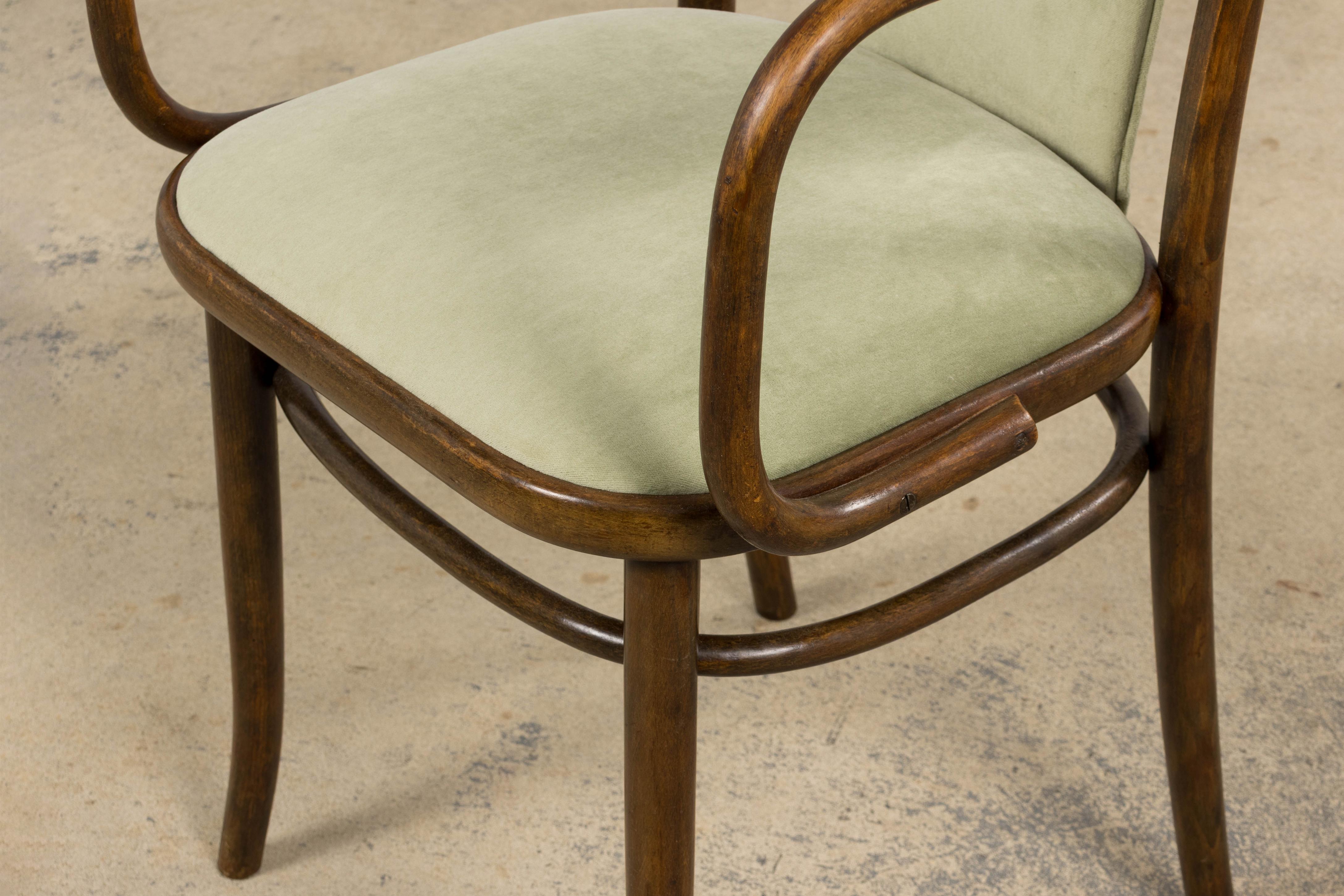 1950er Thonet Bugholzsessel in Weidengrünem Samt - 6er Set im Angebot 11