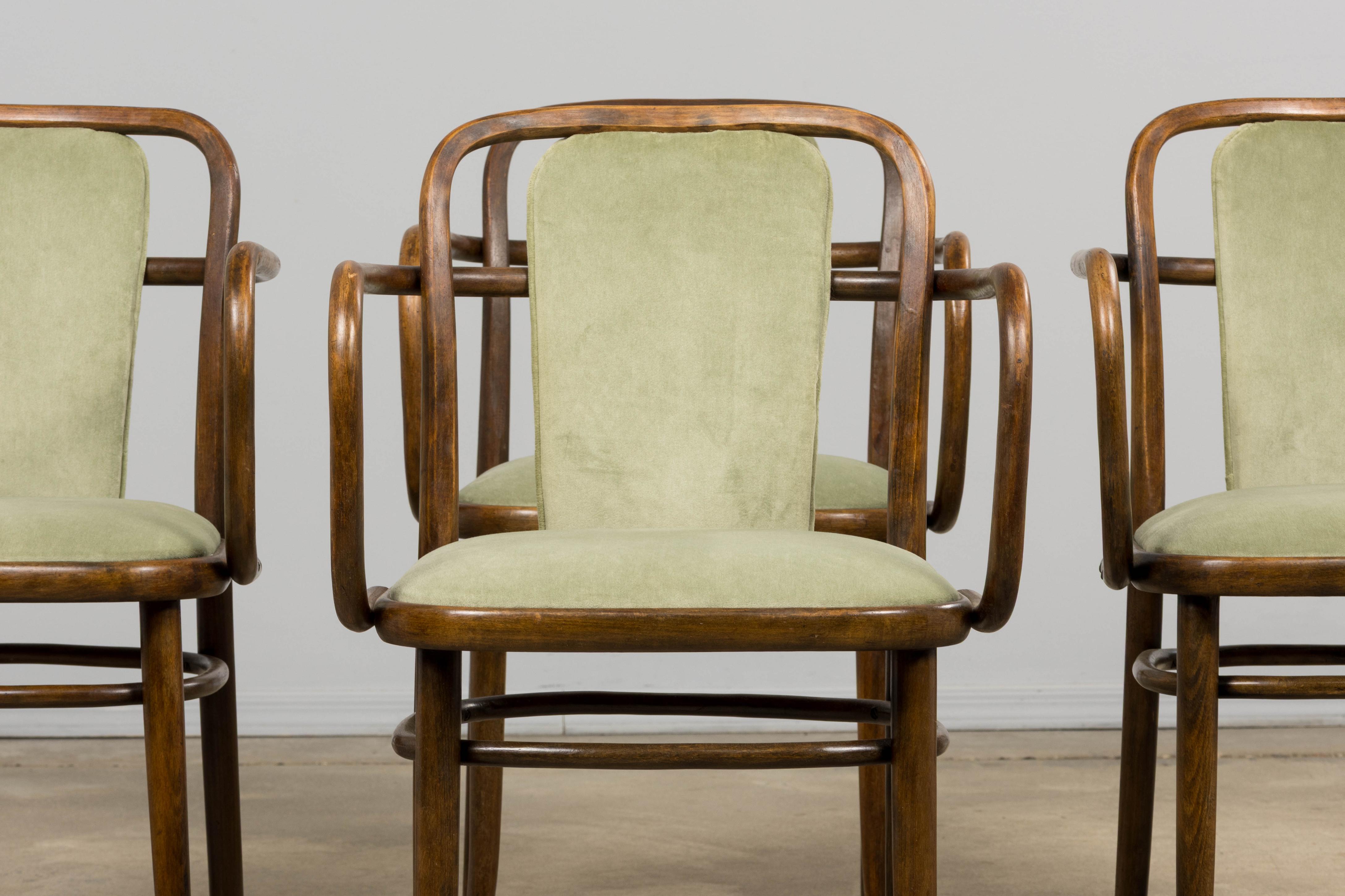 Satz von sechs Bugholzsesseln von Thonet aus der Mitte des 20. Jahrhunderts, gestempelt und markiert Made in Czechoslovakia, bezogen aus der Provence, Frankreich. Jeder Stuhl wird in Handarbeit aus dampfgebogenem Buchenholz mit skulpturalen,