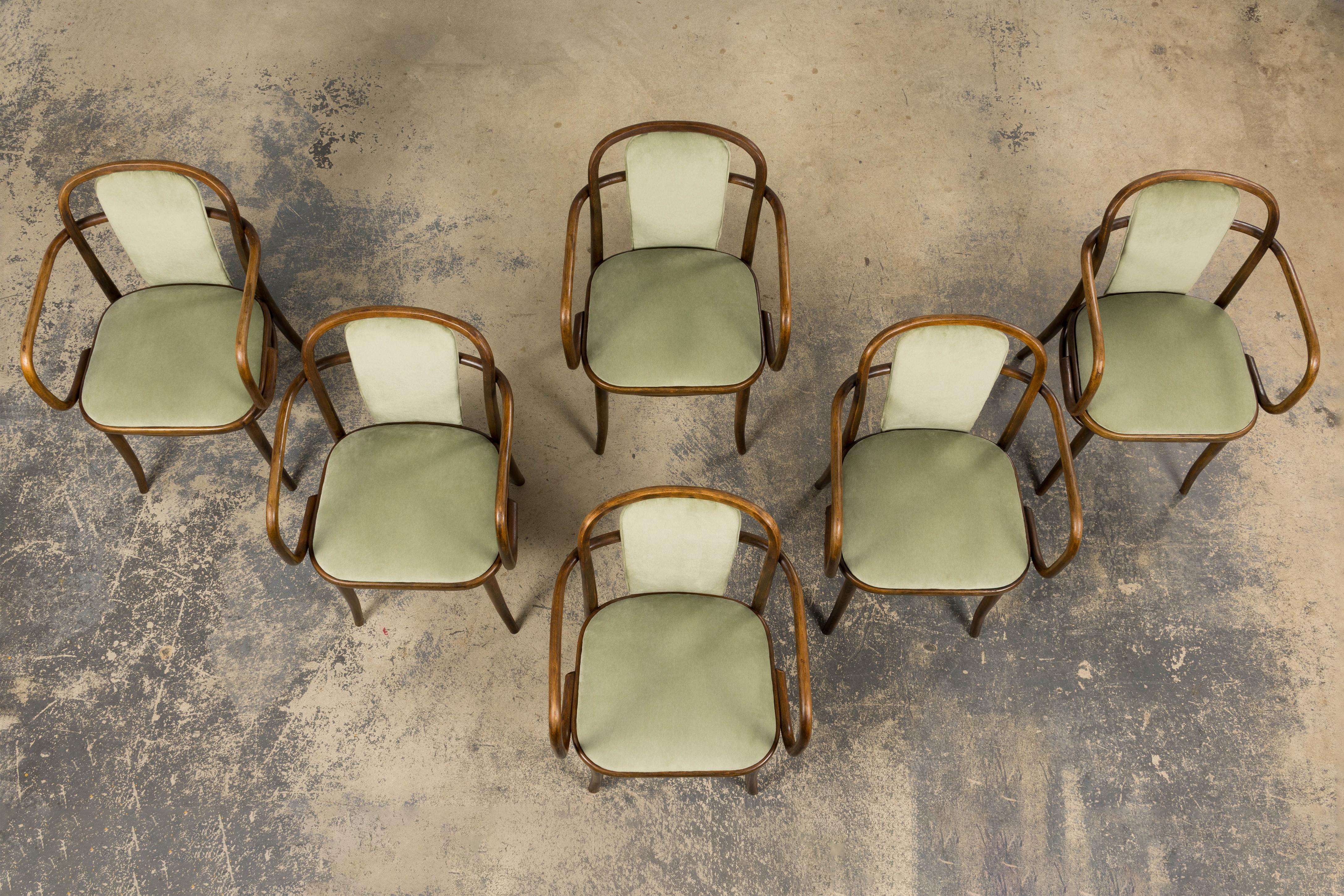 1950er Thonet Bugholzsessel in Weidengrünem Samt - 6er Set (Moderne der Mitte des Jahrhunderts) im Angebot