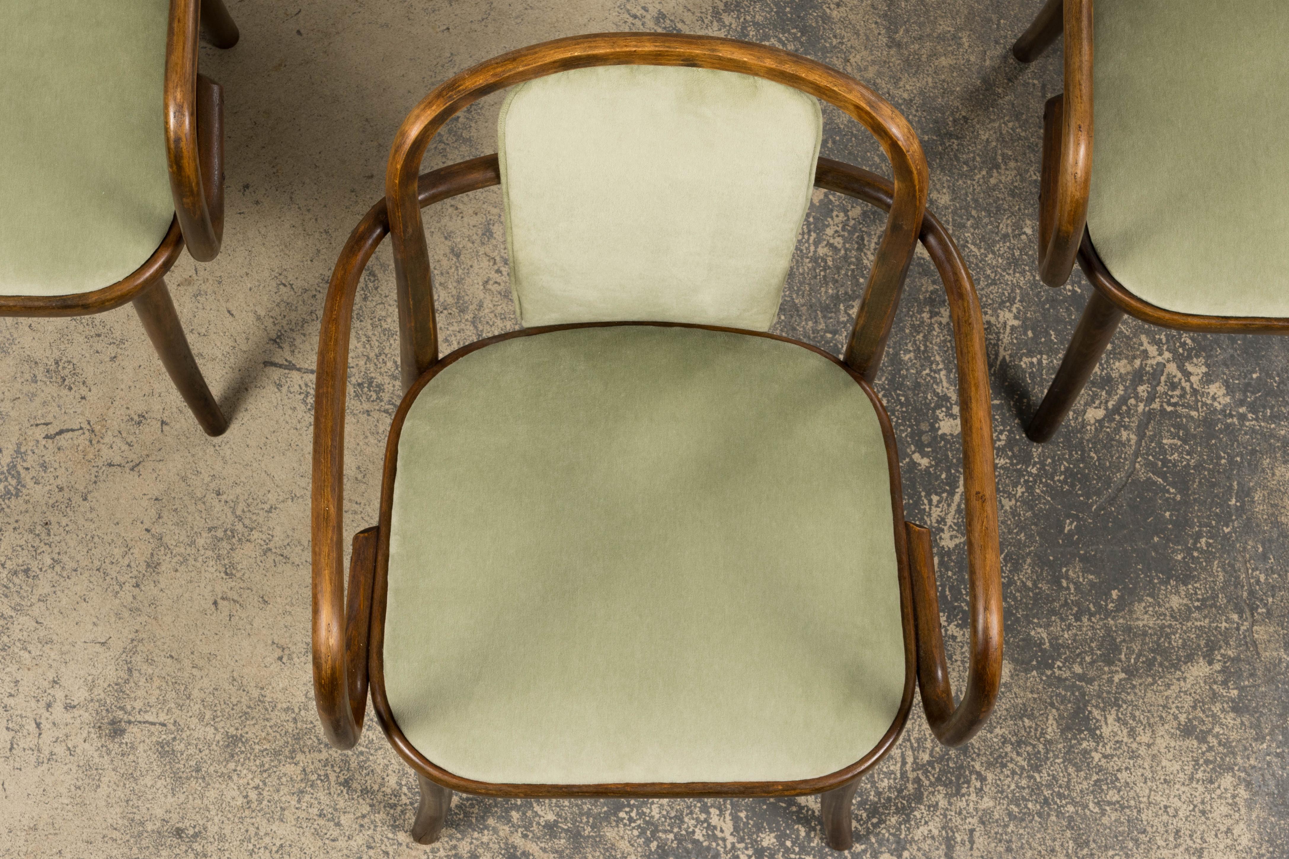1950er Thonet Bugholzsessel in Weidengrünem Samt - 6er Set (Tschechisch) im Angebot