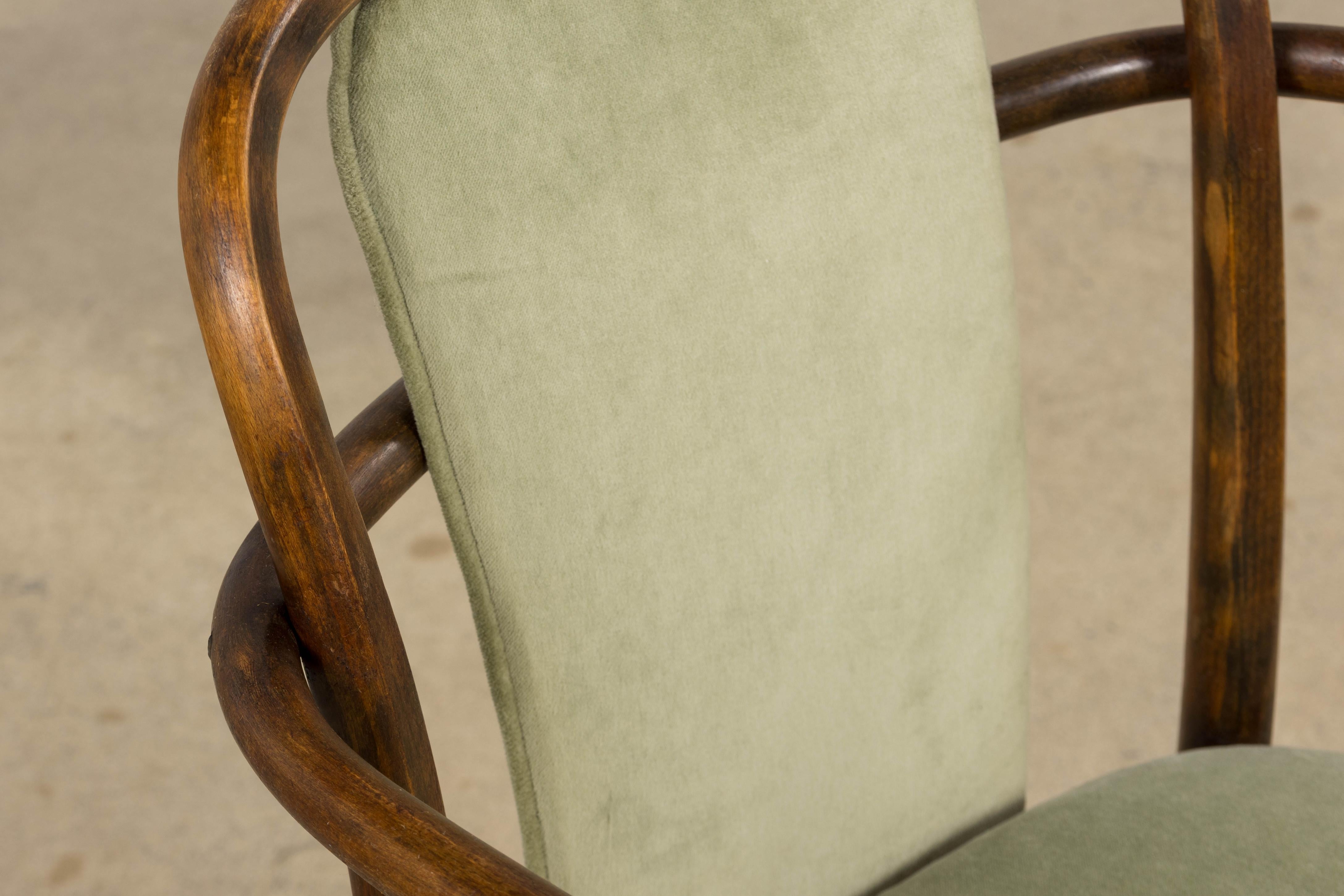 1950er Thonet Bugholzsessel in Weidengrünem Samt - 6er Set (20. Jahrhundert) im Angebot