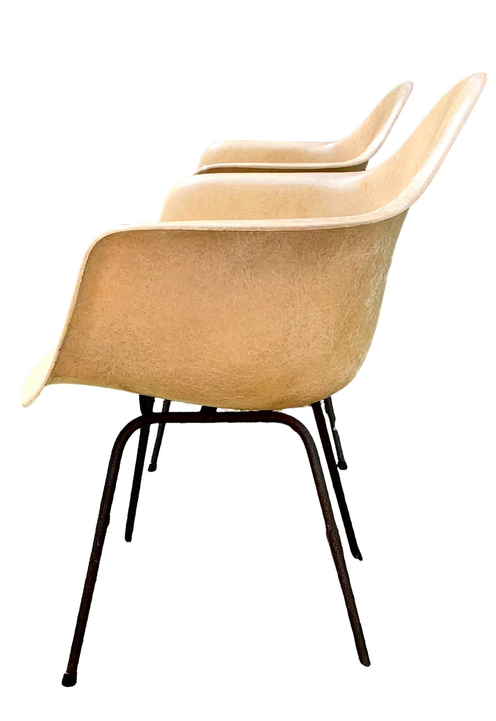 A pair of Charles Eames molded fiberglass shell arm chairs for Herman Miller, in a parchment color with original paper labels present, produced between 1951 and 1955. 
Borne out of Charles' and Eero Saarinen's early investigations molding plywood