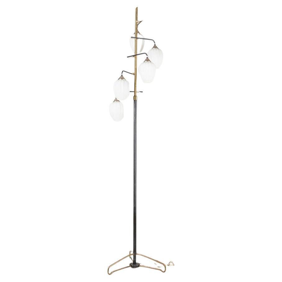 Brazilian 1950s Vintage Floor Lamp in Black and Brass at 1stDibs