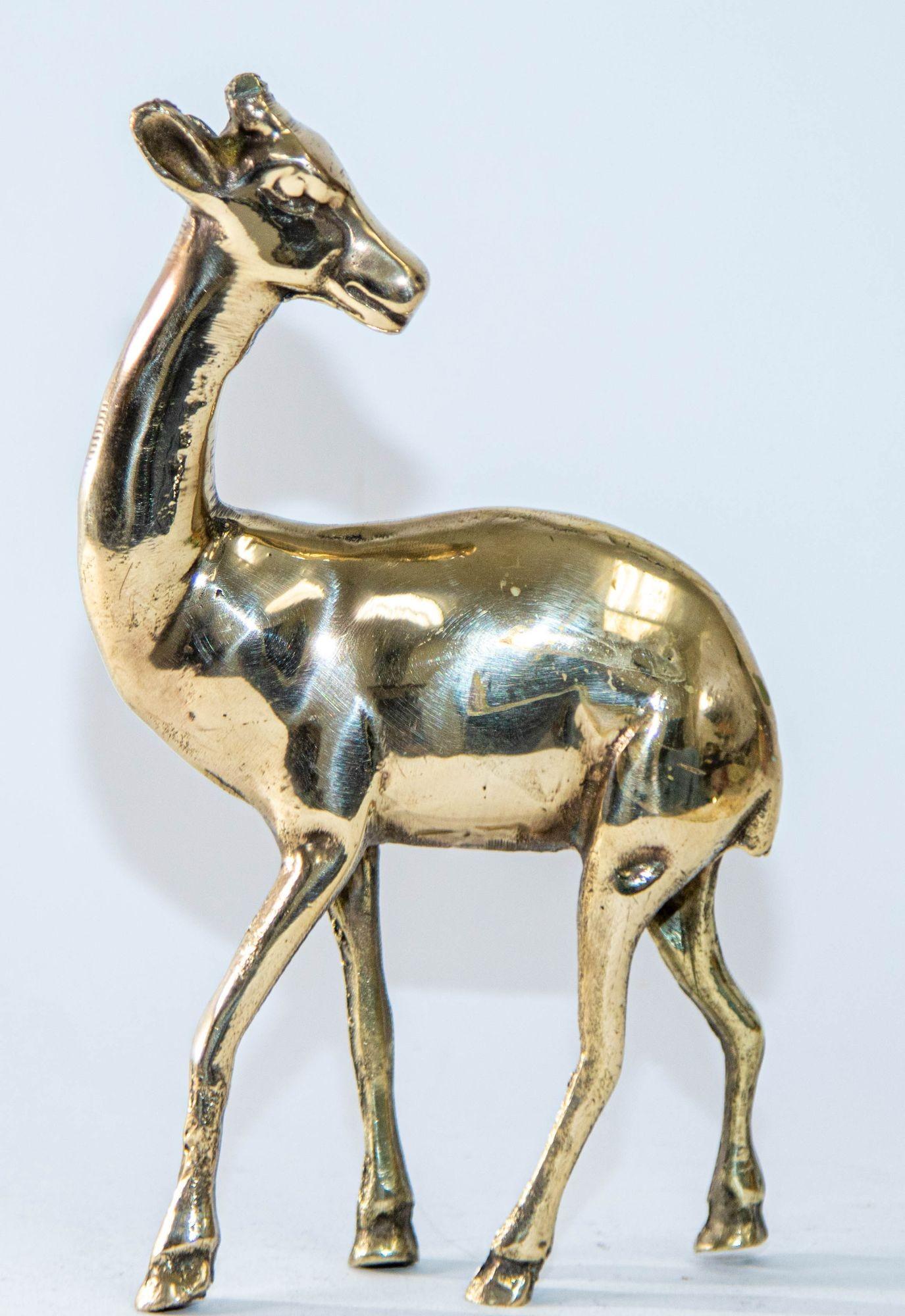 Vintage 1950s solid polished brass gazelle young deer figurine sculpture in the style of Loet Vanderveen.
In Asia Fen Shui and Vastu belives that when placed facing west it will produce an active life to the inactive sluggish and dull running of