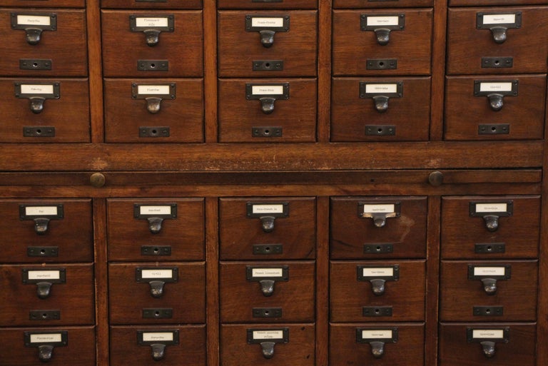 1950s Walnut Card Catalog with Trays and Brass Hardware in a Dark Wood