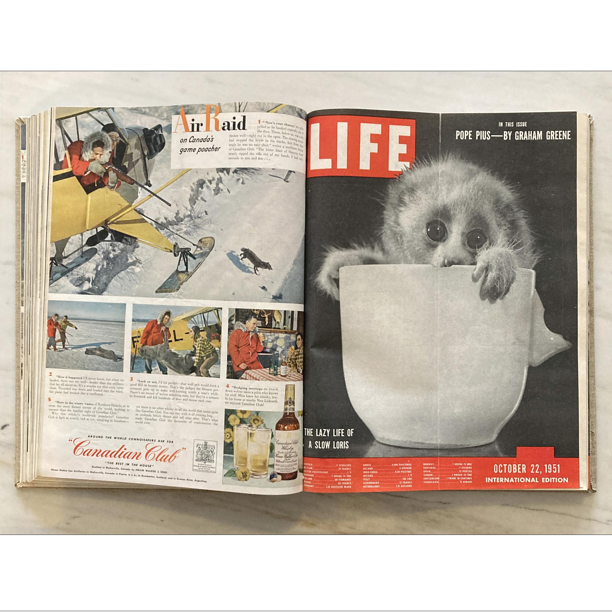 1951 Life Magazines Bound Volume, Incl Queen Elizabeth Issue, Aug-Dec, 11 numéros en vente 5