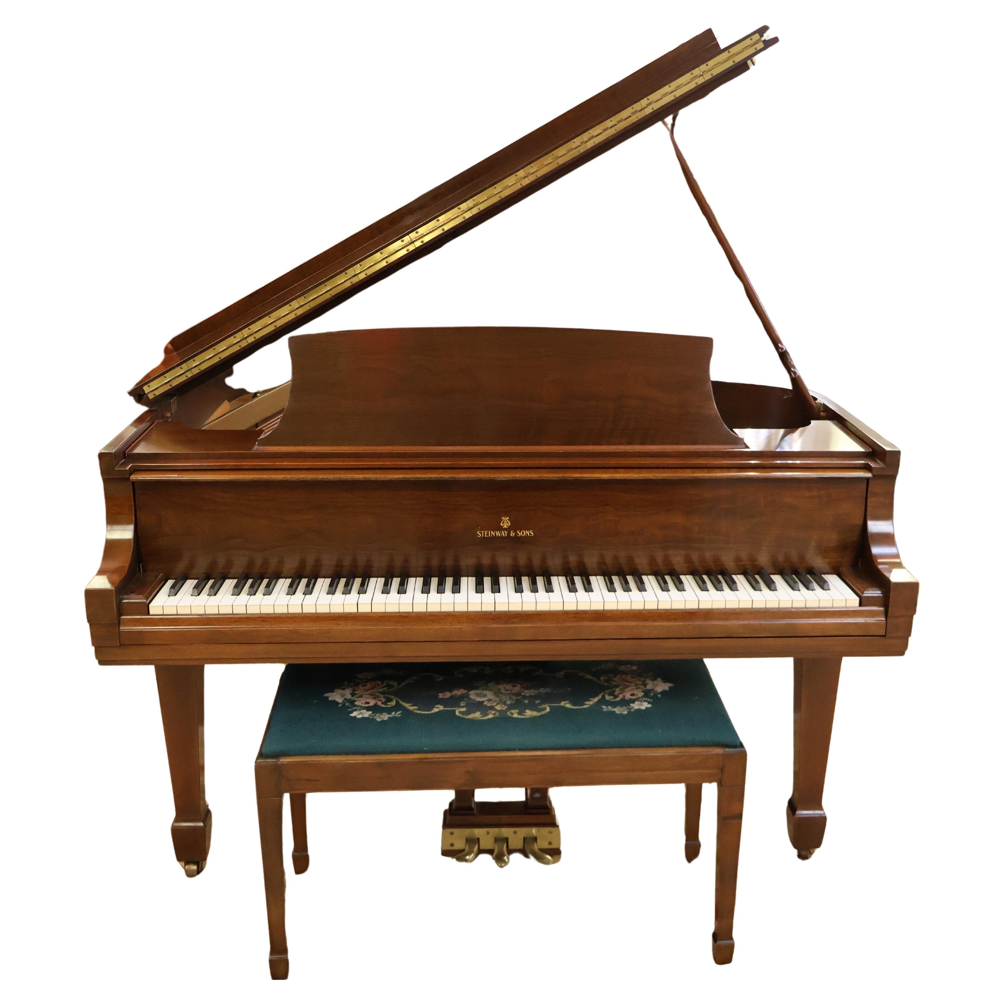 1951 Steinway Walnut Model M Baby Grand Piano 5'7" 334664 For Sale