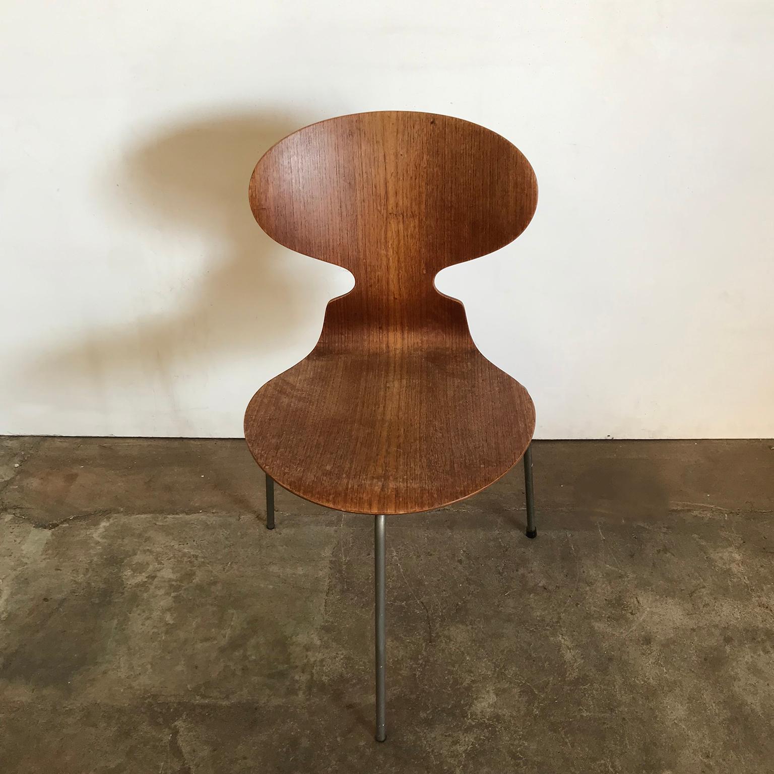 Mid-20th Century 1952, Arne Jacobsen, for Fritz Hansen, Original Early Ant Chair Wood, Metal Mark
