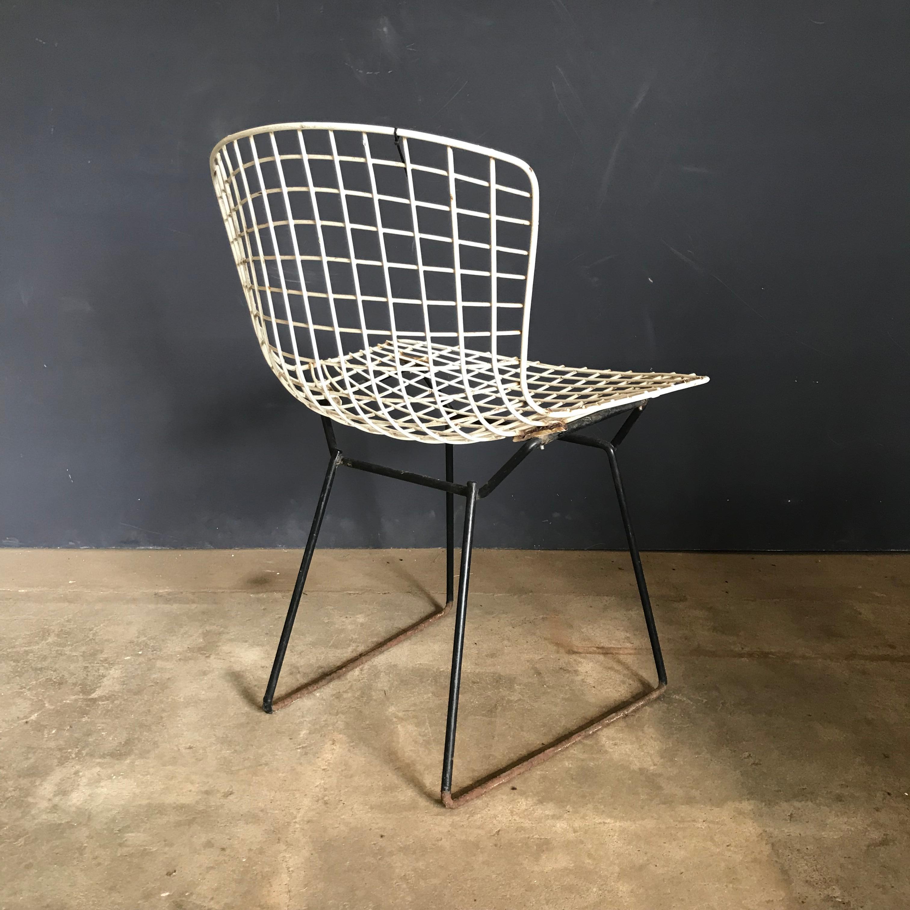 1952, Harrie Bertoia para Knoll International Conjunto de sillas de comedor de alambre en venta 7