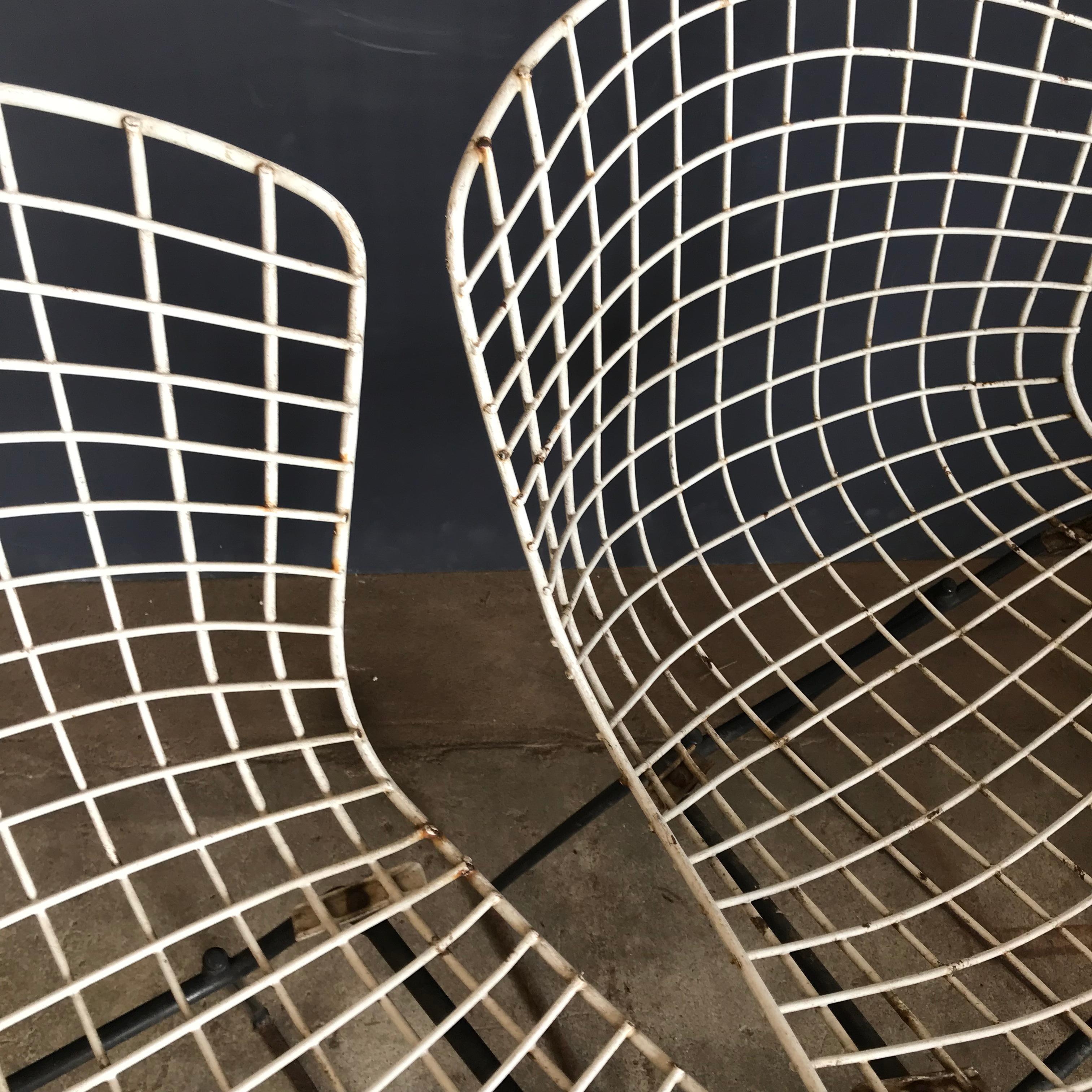 1952, Harrie Bertoia para Knoll International Conjunto de sillas de comedor de alambre Estadounidense en venta