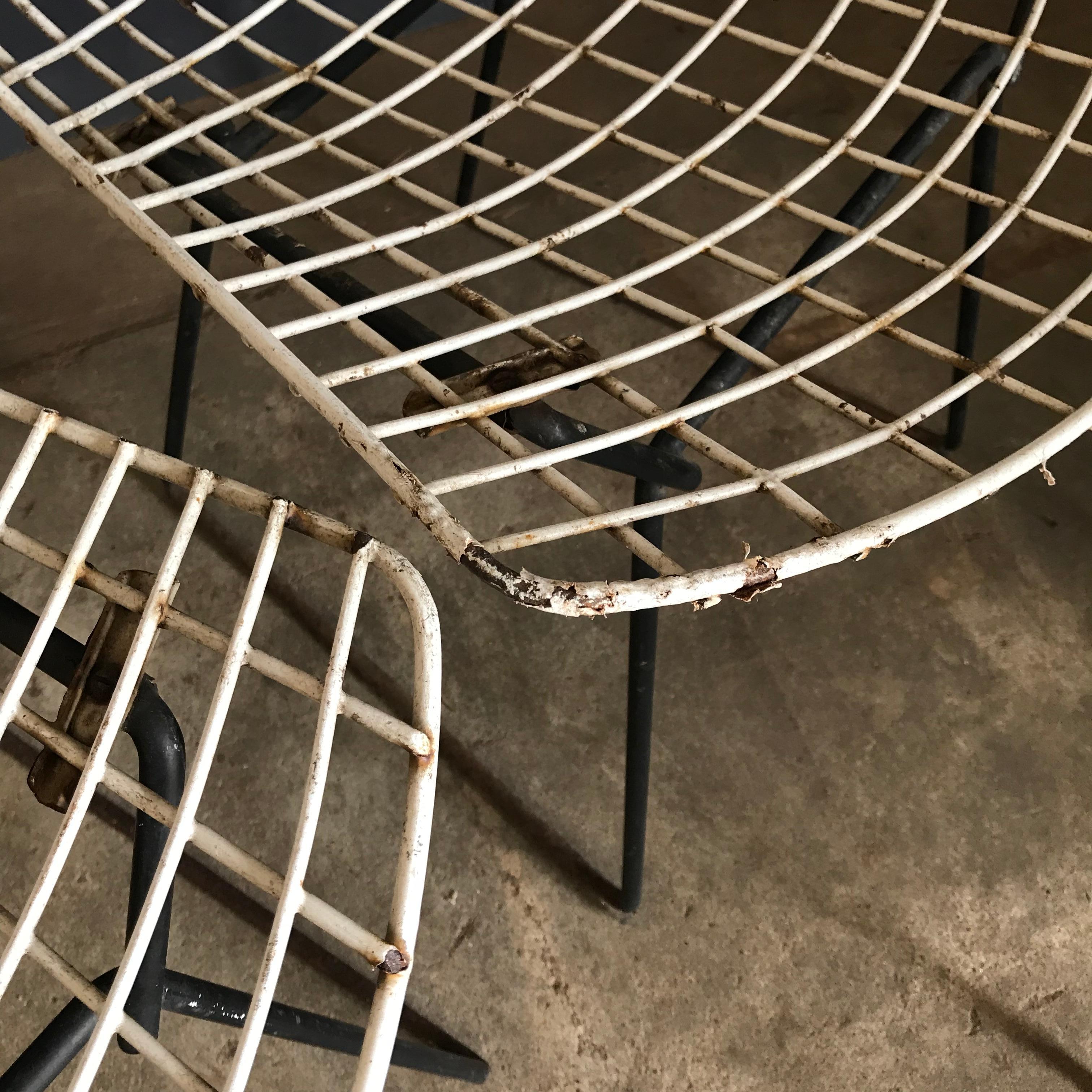 American 1952, Harrie Bertoia for Knoll International a Set of Wire Dining Chairs For Sale