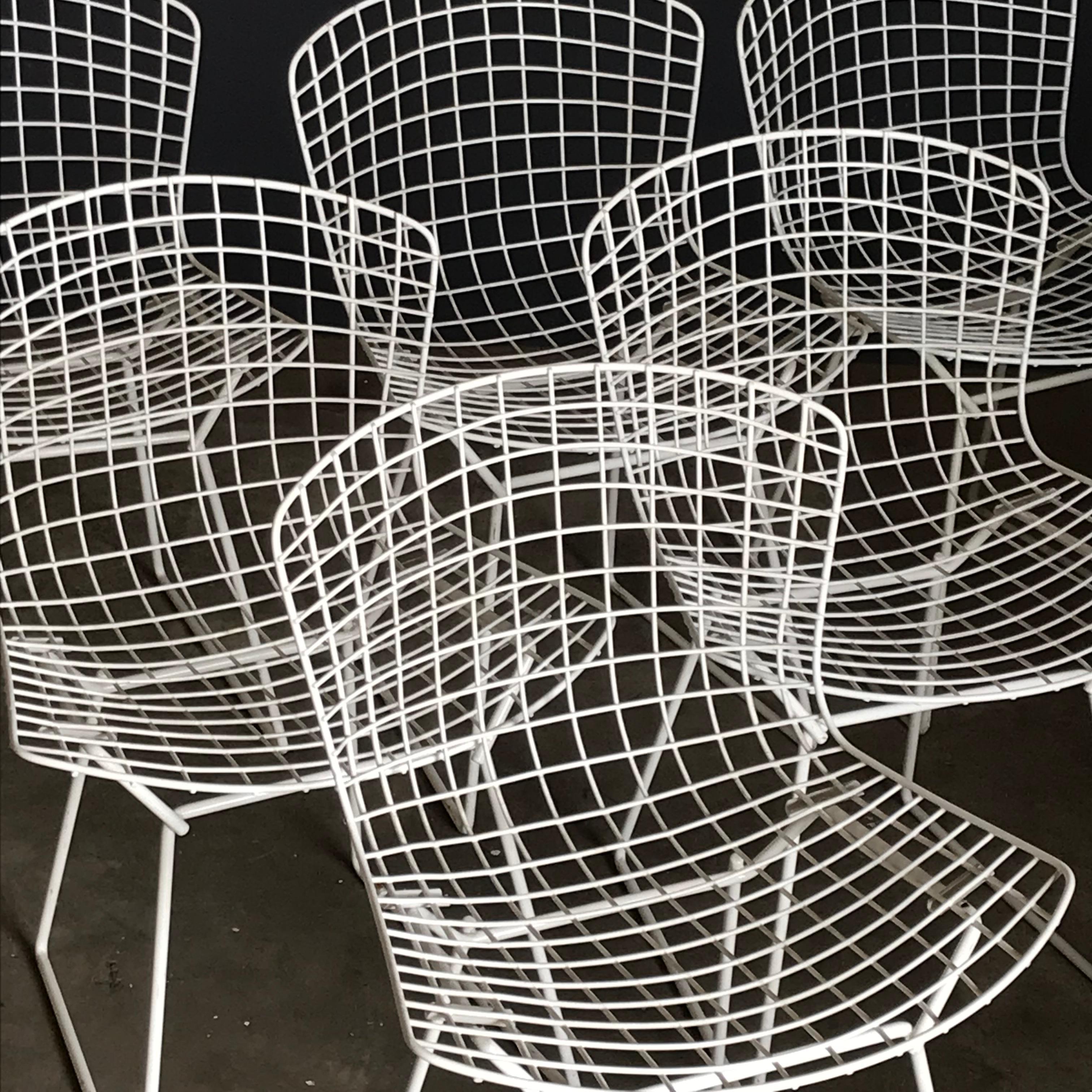 Metal 1952, Harrie Bertoia for Knoll International a Set of Wire Dining Chairs