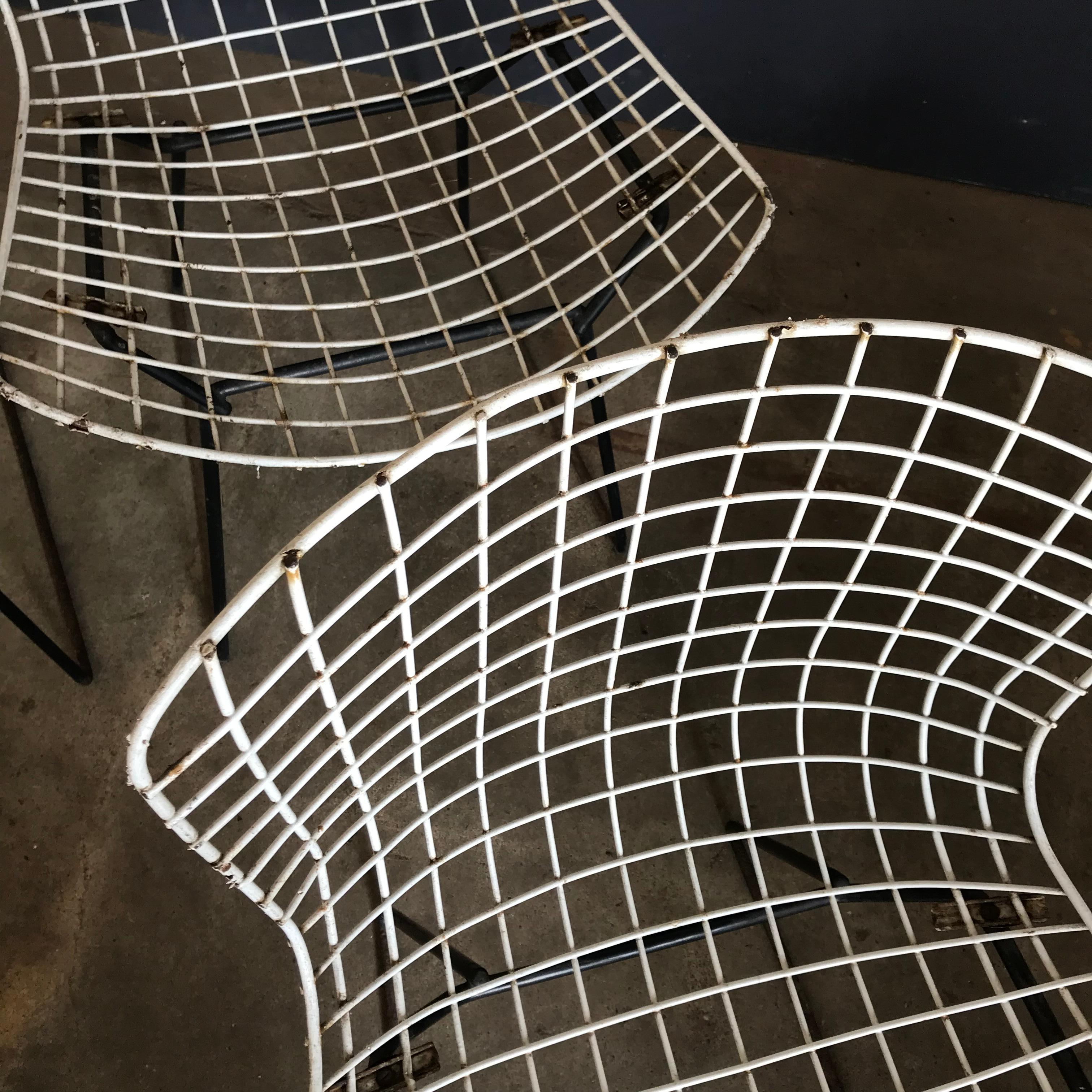 Mid-20th Century 1952, Harrie Bertoia for Knoll International a Set of Wire Dining Chairs For Sale