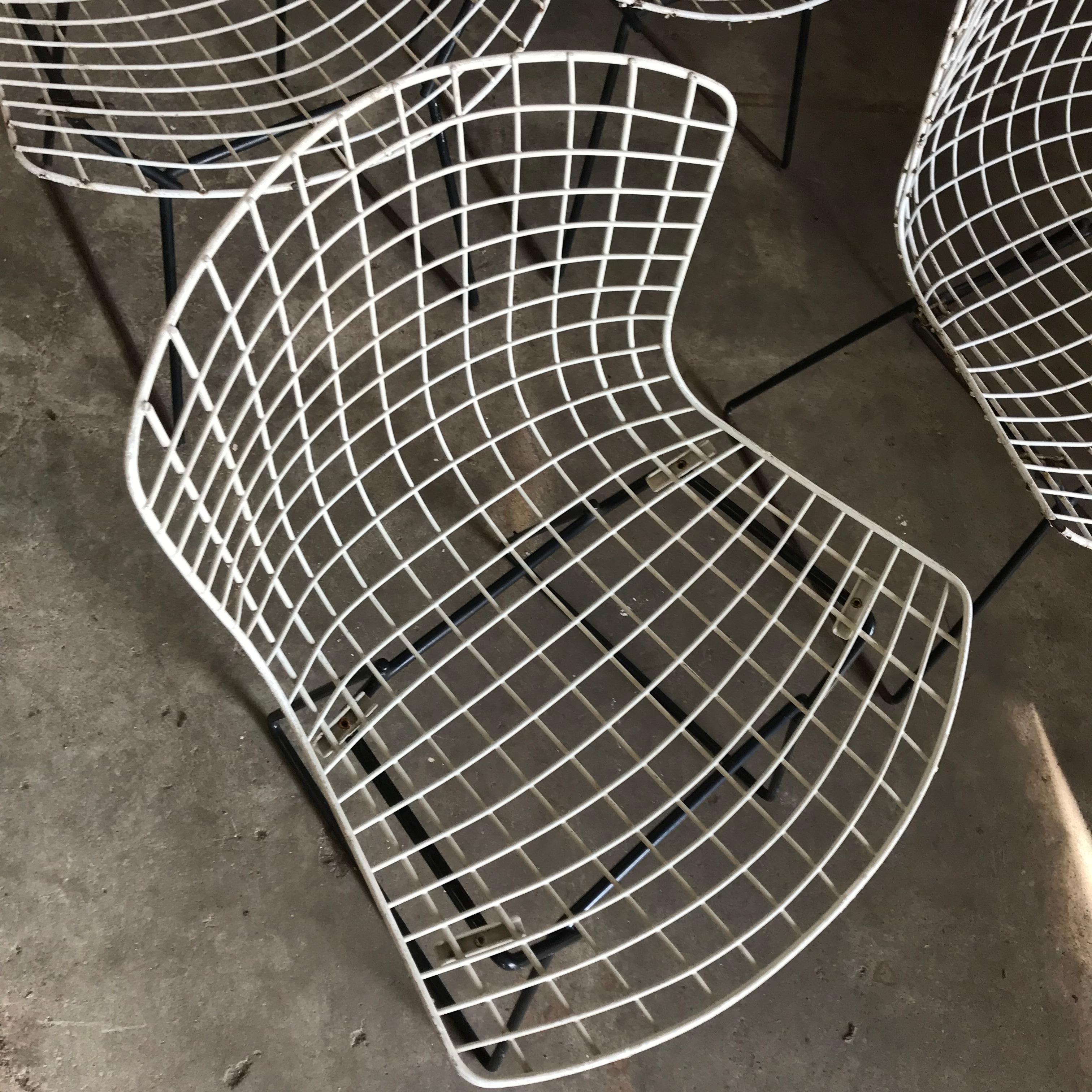 Metal 1952, Harrie Bertoia for Knoll International a Set of Wire Dining Chairs For Sale