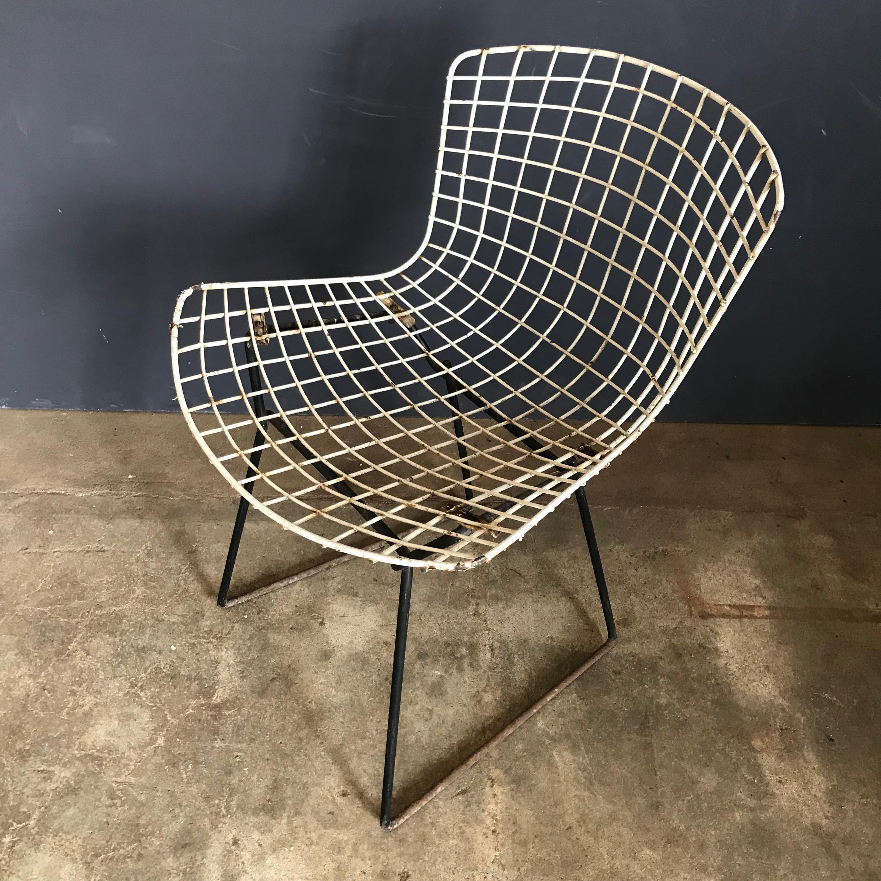 1952, Harrie Bertoia for Knoll International a Set of Wire Dining Chairs For Sale 1