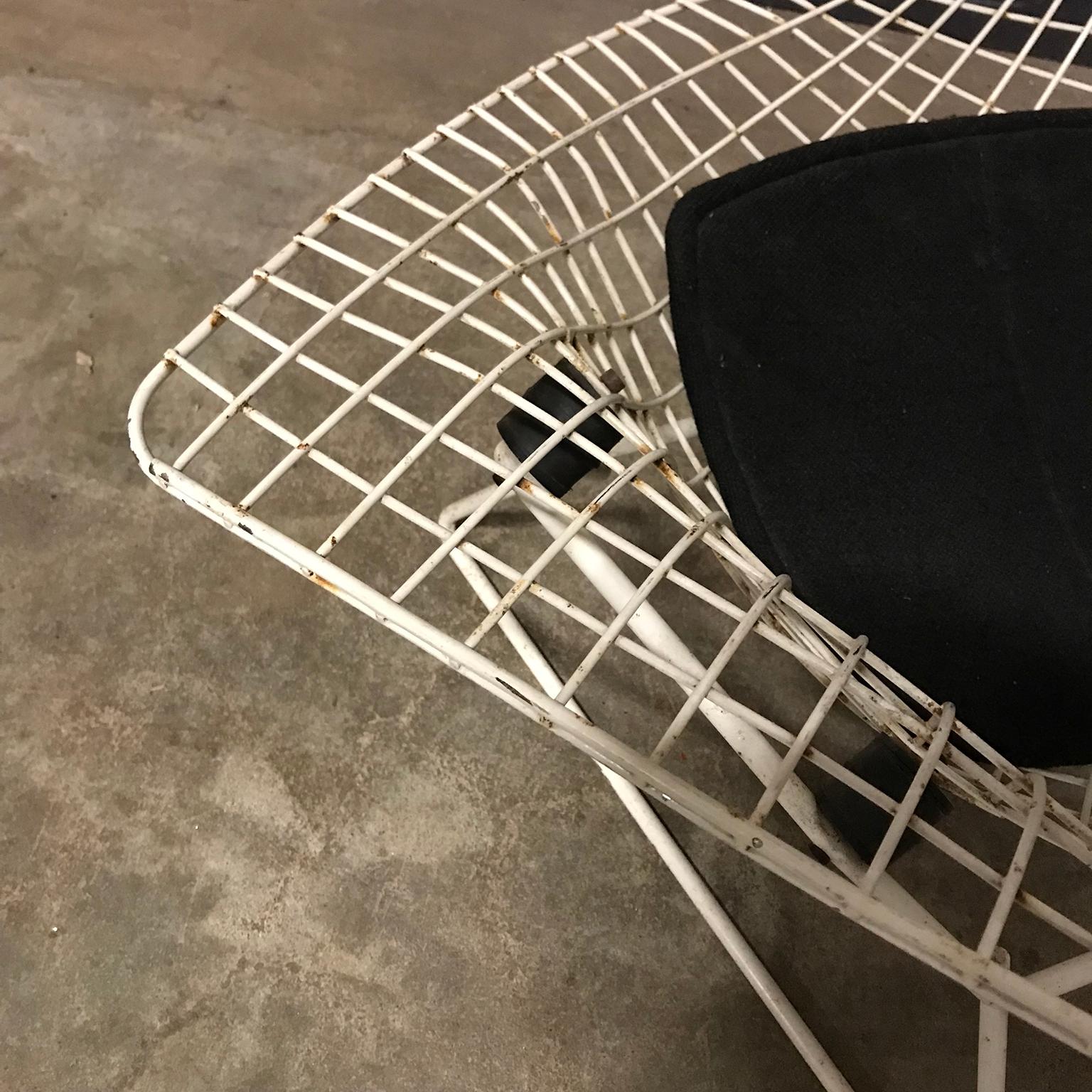 1952, Harry Bertoia, Knoll International, Bird Chair in White with Black Pillow 6