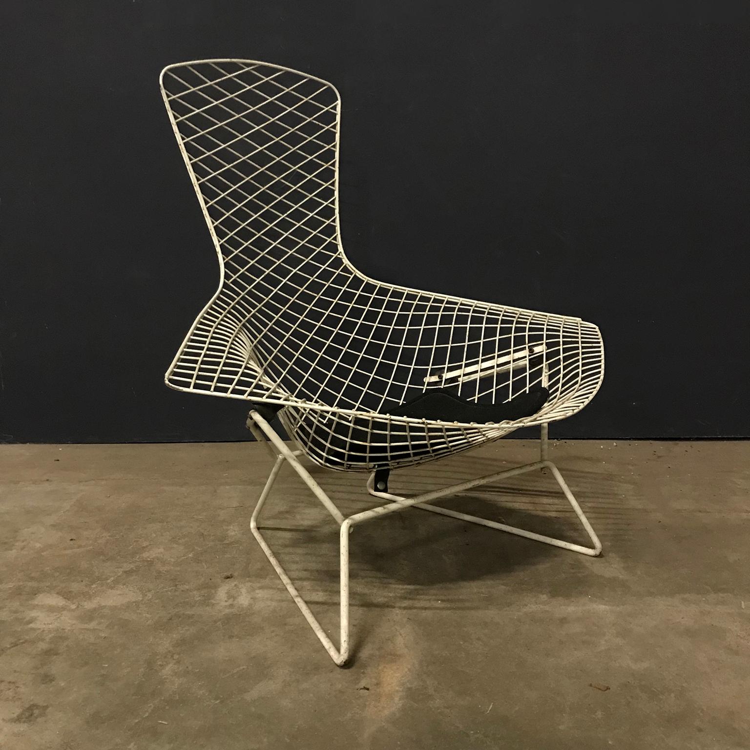 Mid-Century Modern 1952, Harry Bertoia, Knoll International, Bird Chair in White with Black Pillow