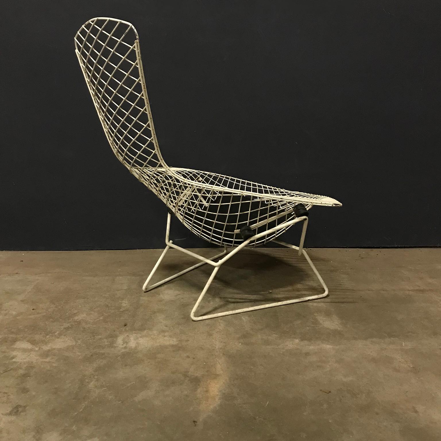 1952, Harry Bertoia, Knoll International, Bird Chair in White with Black Pillow In Good Condition In Amsterdam IJMuiden, NL