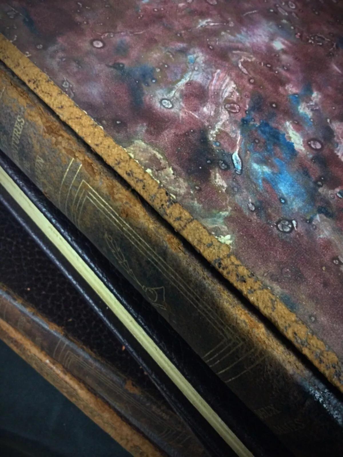 1954 Ensemble de livres anciens : 