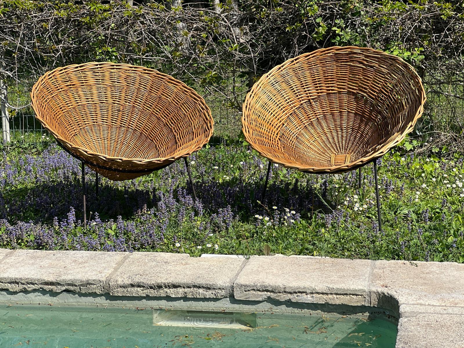 Mid-20th Century 1954 Pair of Originale Edition Terence Conran C8 Armchairs For Sale