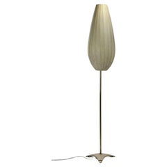1955 Cocoon-Stehleuchte mit Messing- und Gusseisensockel, hergestellt von A.Eisenkeil.